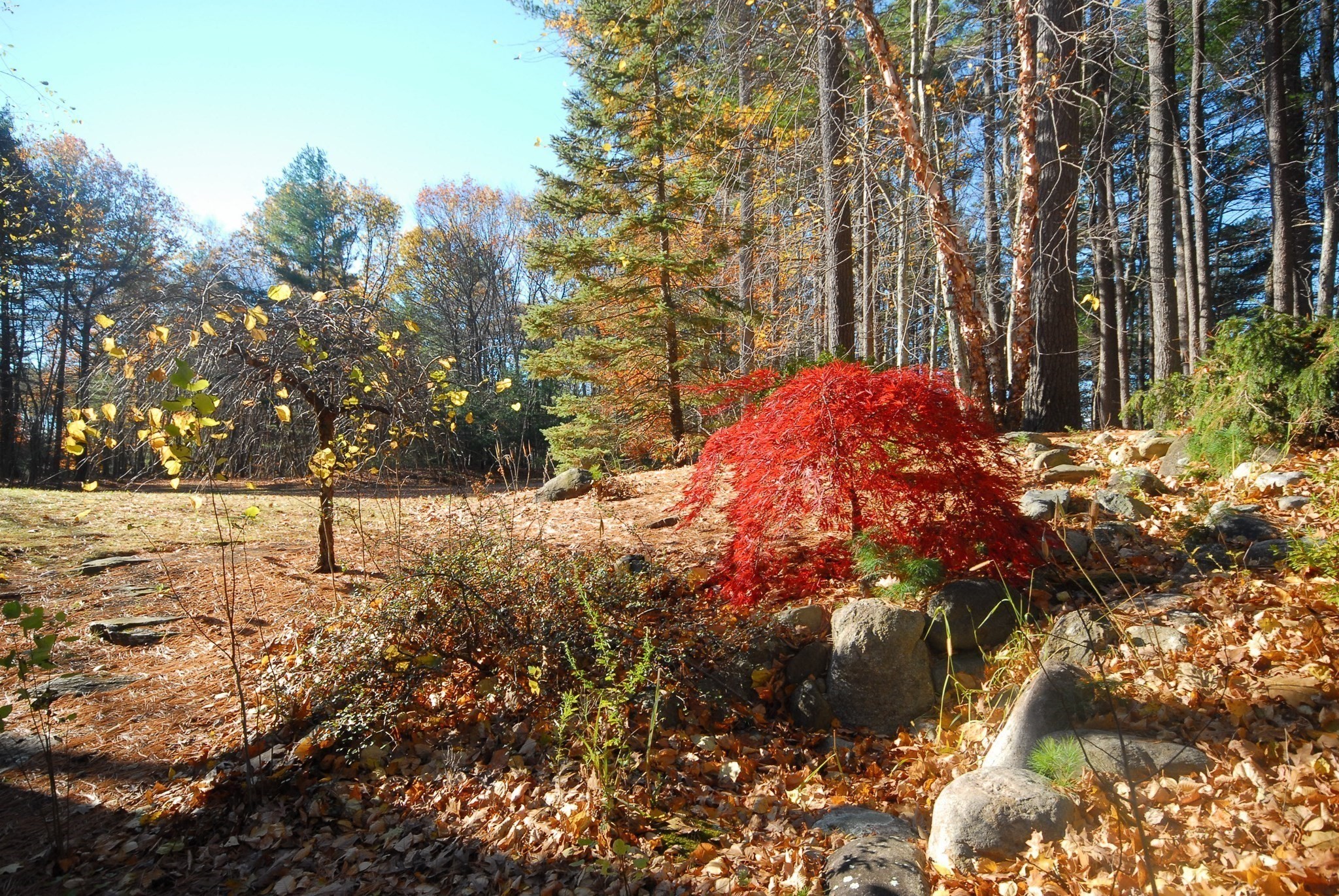 96 Forest Ridge Rd Unit 96, Concord, MA 01742 - Image 32