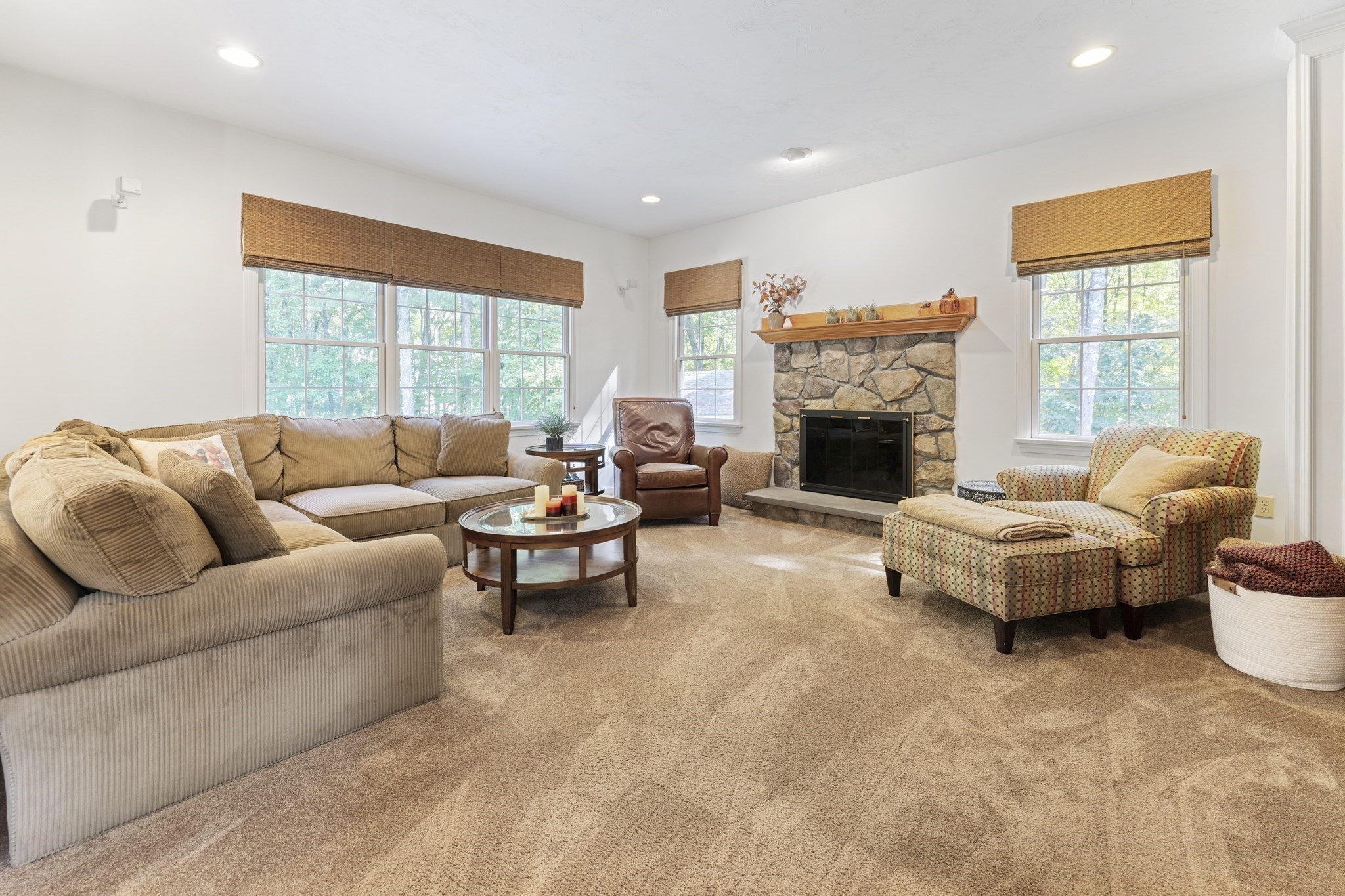 14 Downing Drive, Norton, MA 02766 - Image 9