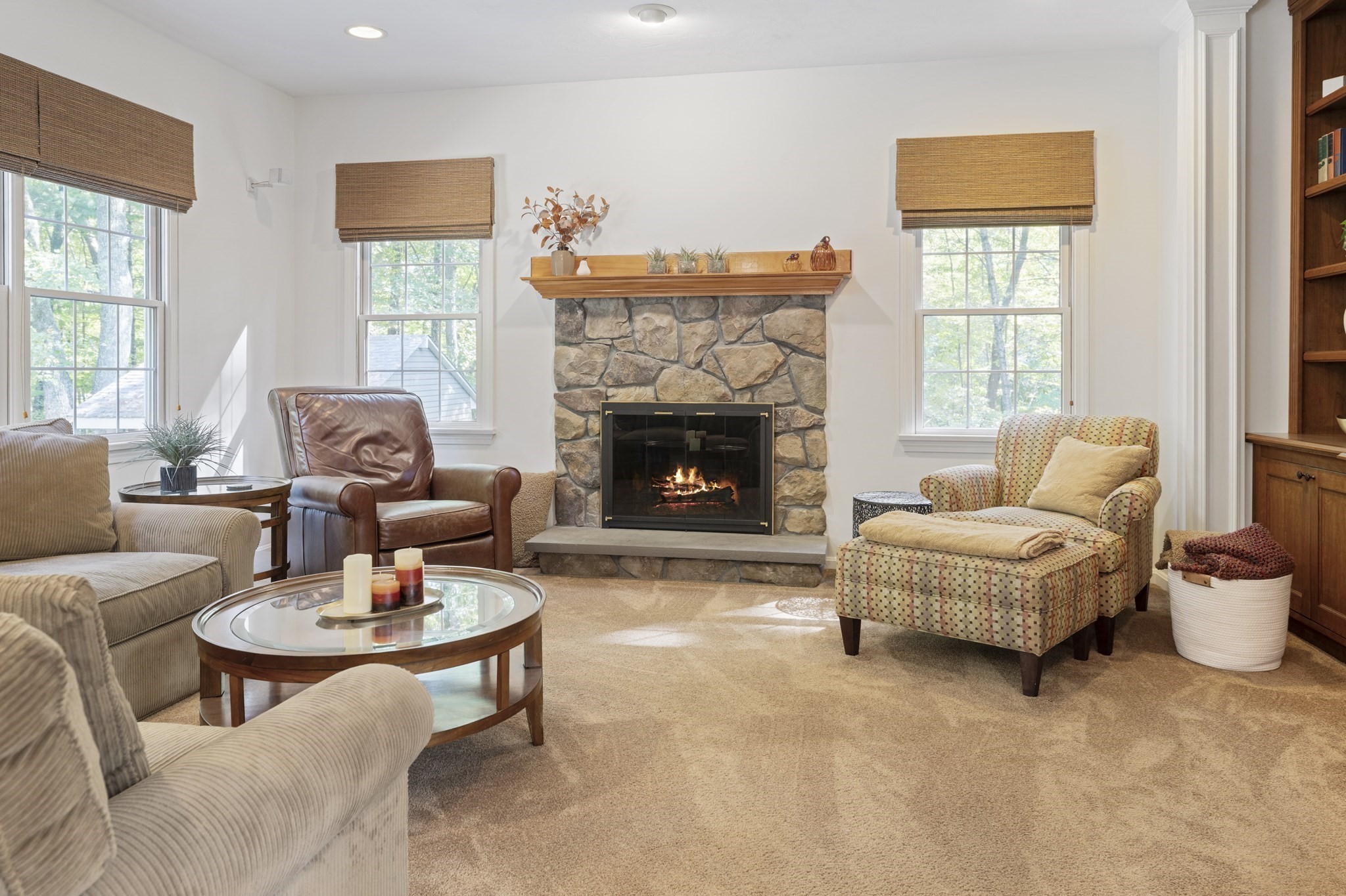 14 Downing Drive, Norton, MA 02766 - Image 10