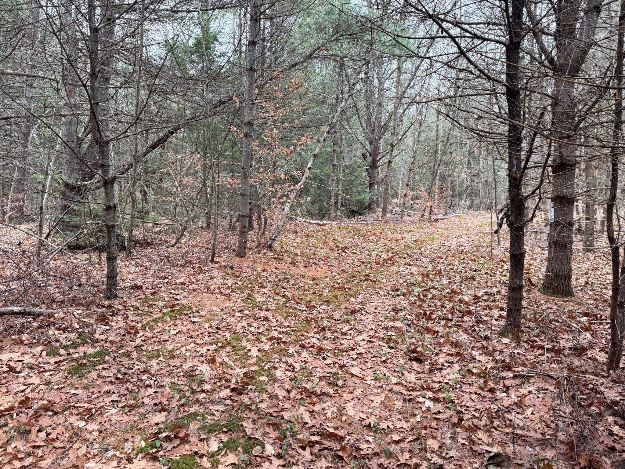 163 Bridge St, Gardner, MA 01440 - Image 29