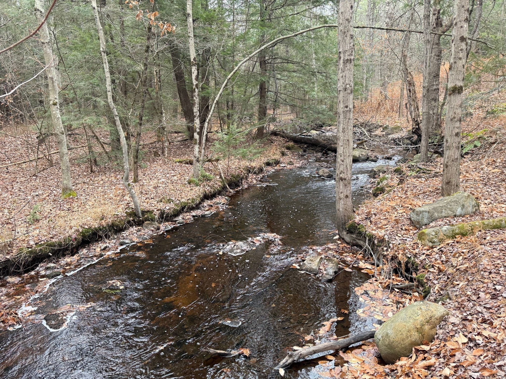 163 Bridge St, Gardner, MA 01440 - Image 31