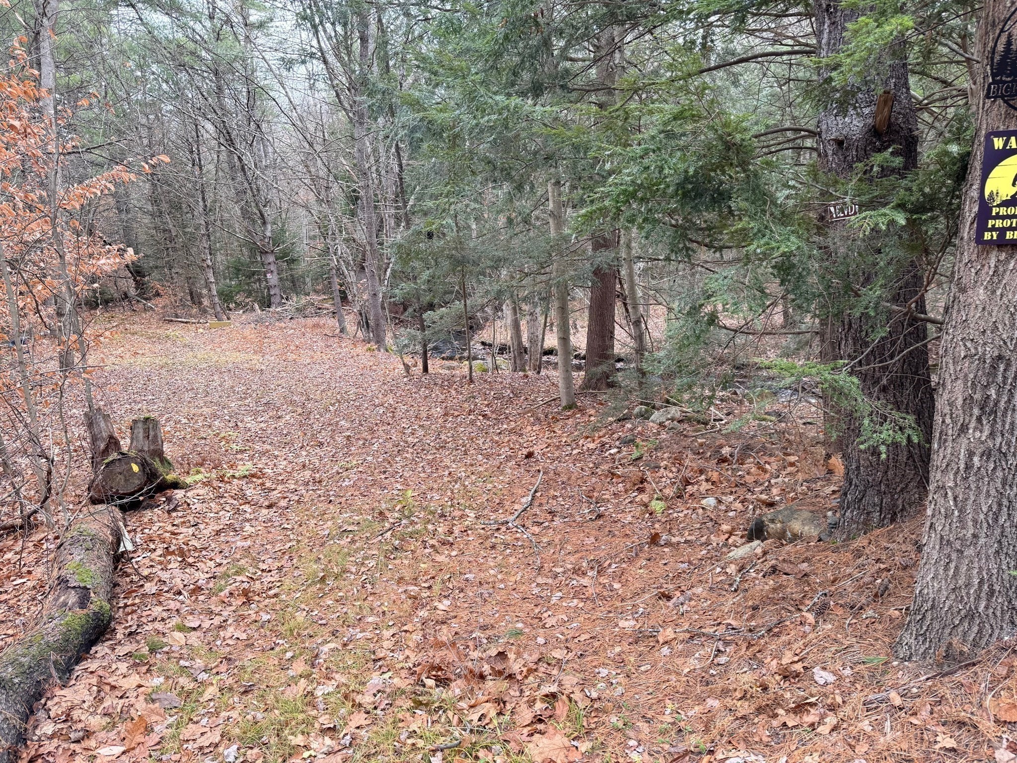 163 Bridge St, Gardner, MA 01440 - Image 32