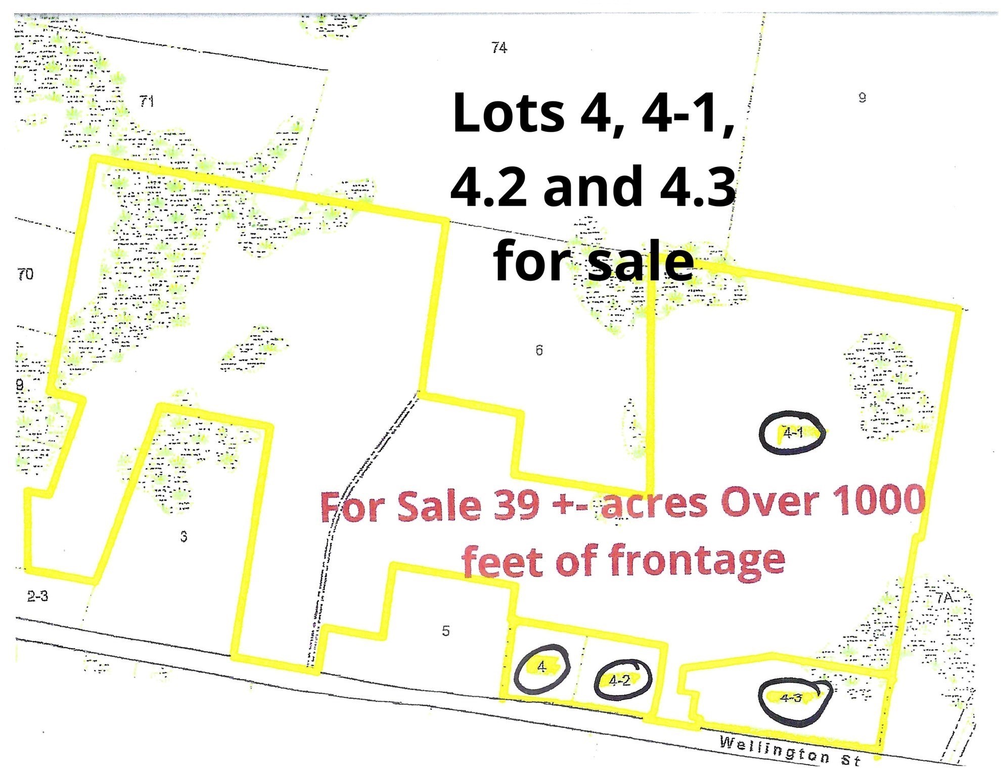 0 Wellington St, Dighton, MA 02715 - Image 1