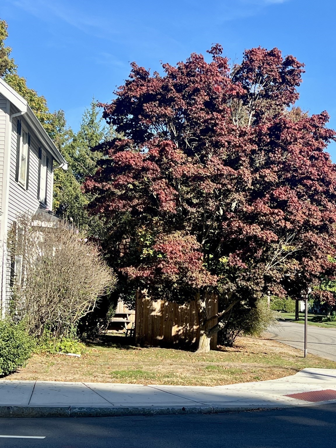 556 Webster Street, Needham, MA 02494 - Image 3