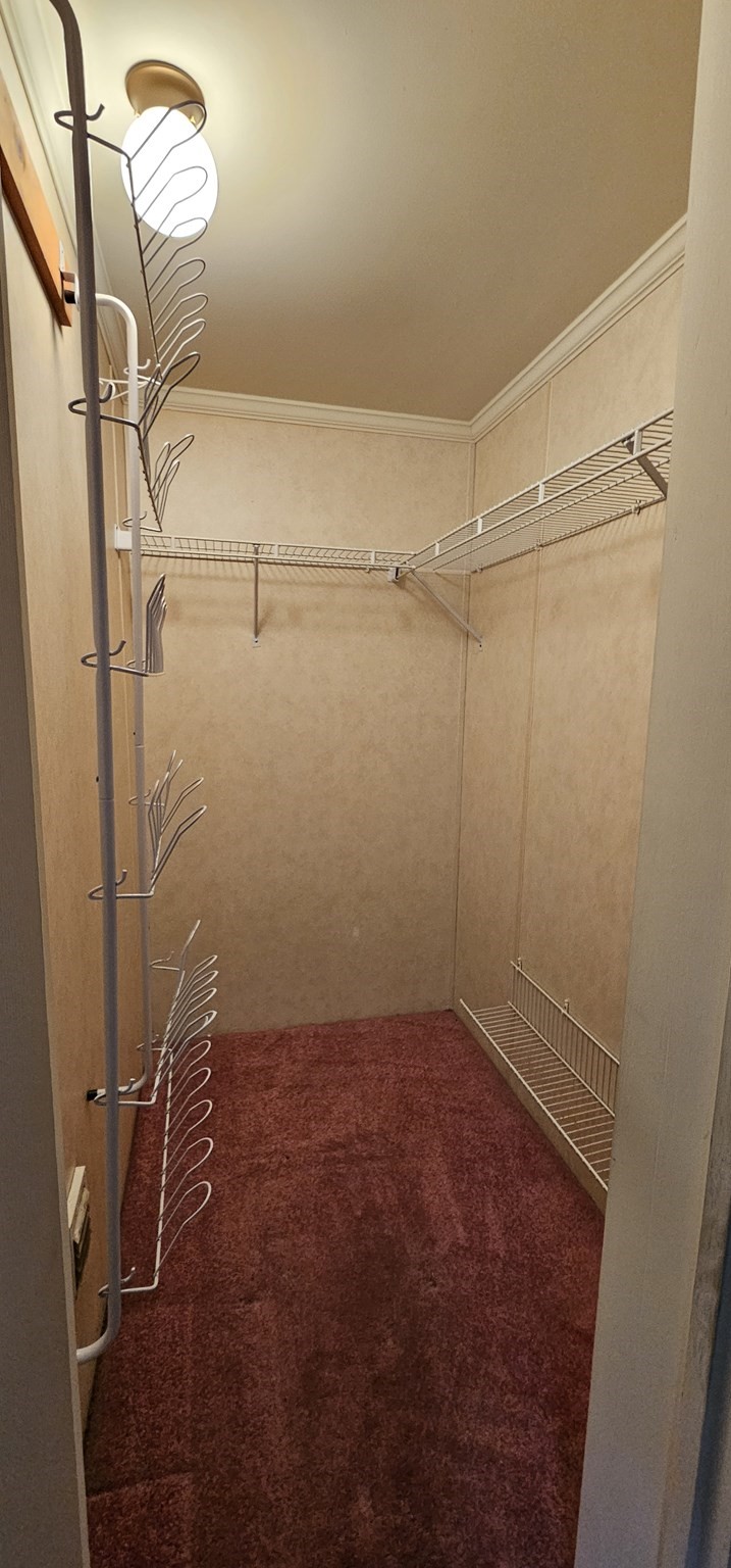 96 Trailwood Drive, Bridgewater, MA 02324 - Image 10