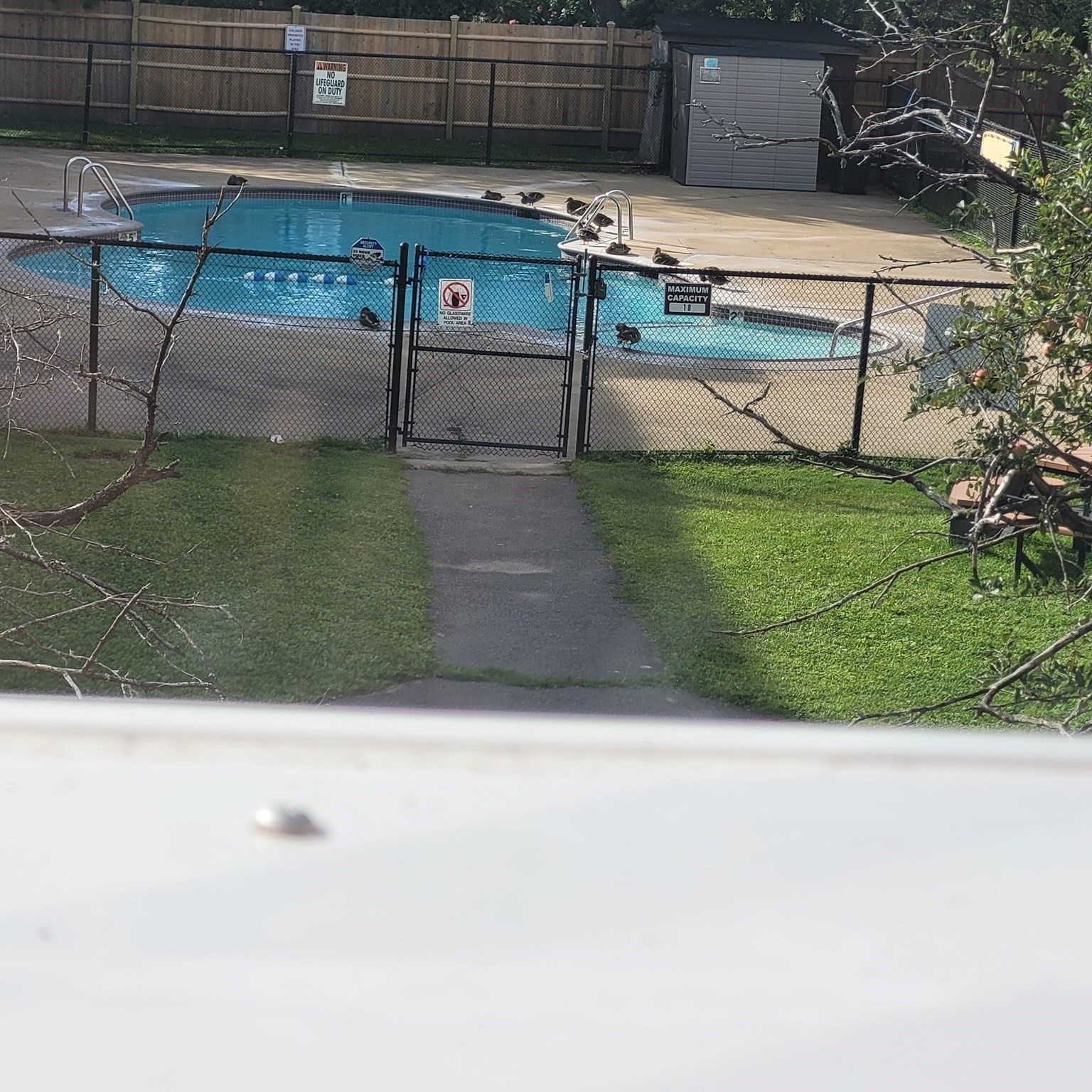 45 McCoba Street Unit 50, Revere, MA 02151 - Image 13