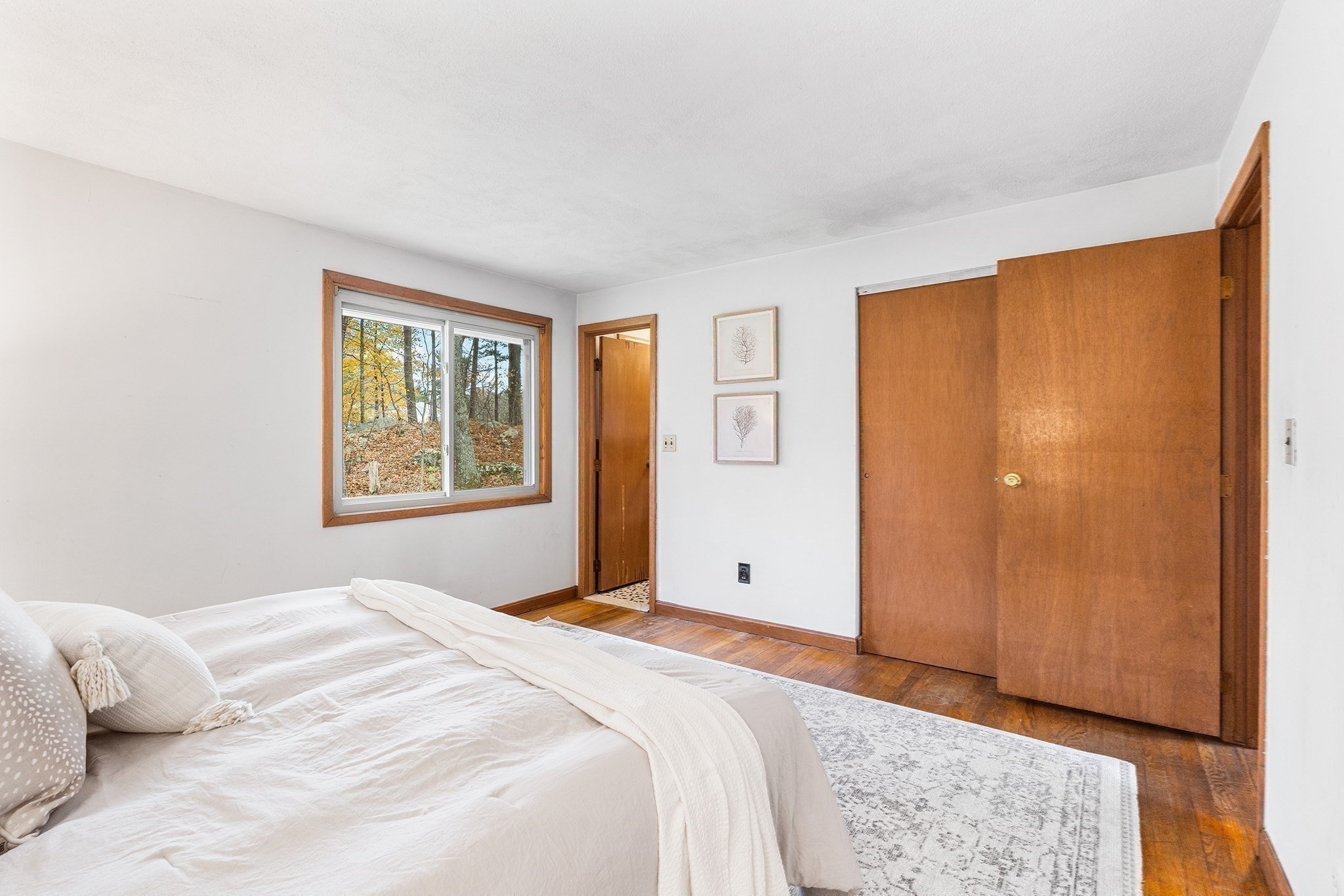 6 Sierra Dr, Chelmsford, MA 01824 - Image 13