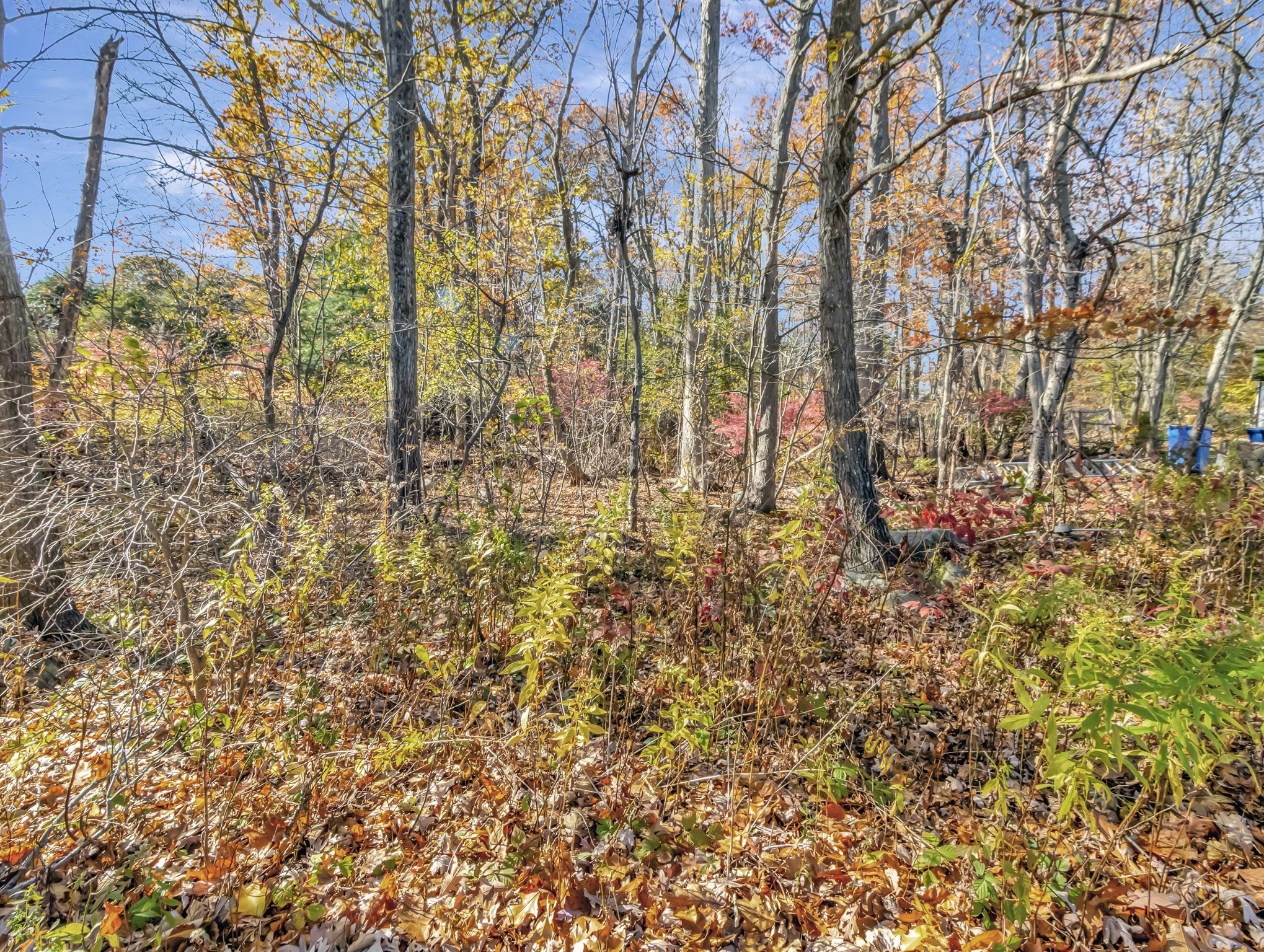 9 Madison Avenue, Randolph, MA 02368 - Image 6