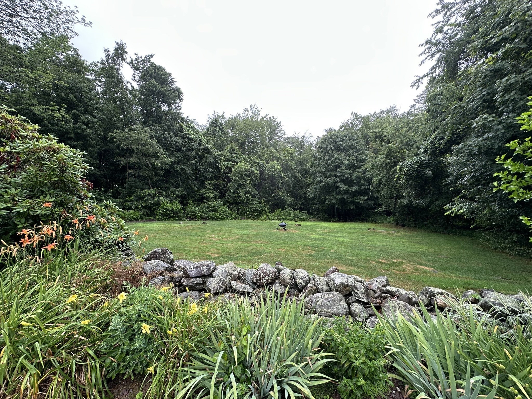 20 Wedgewood Rd, Worcester, MA 01603 - Image 15