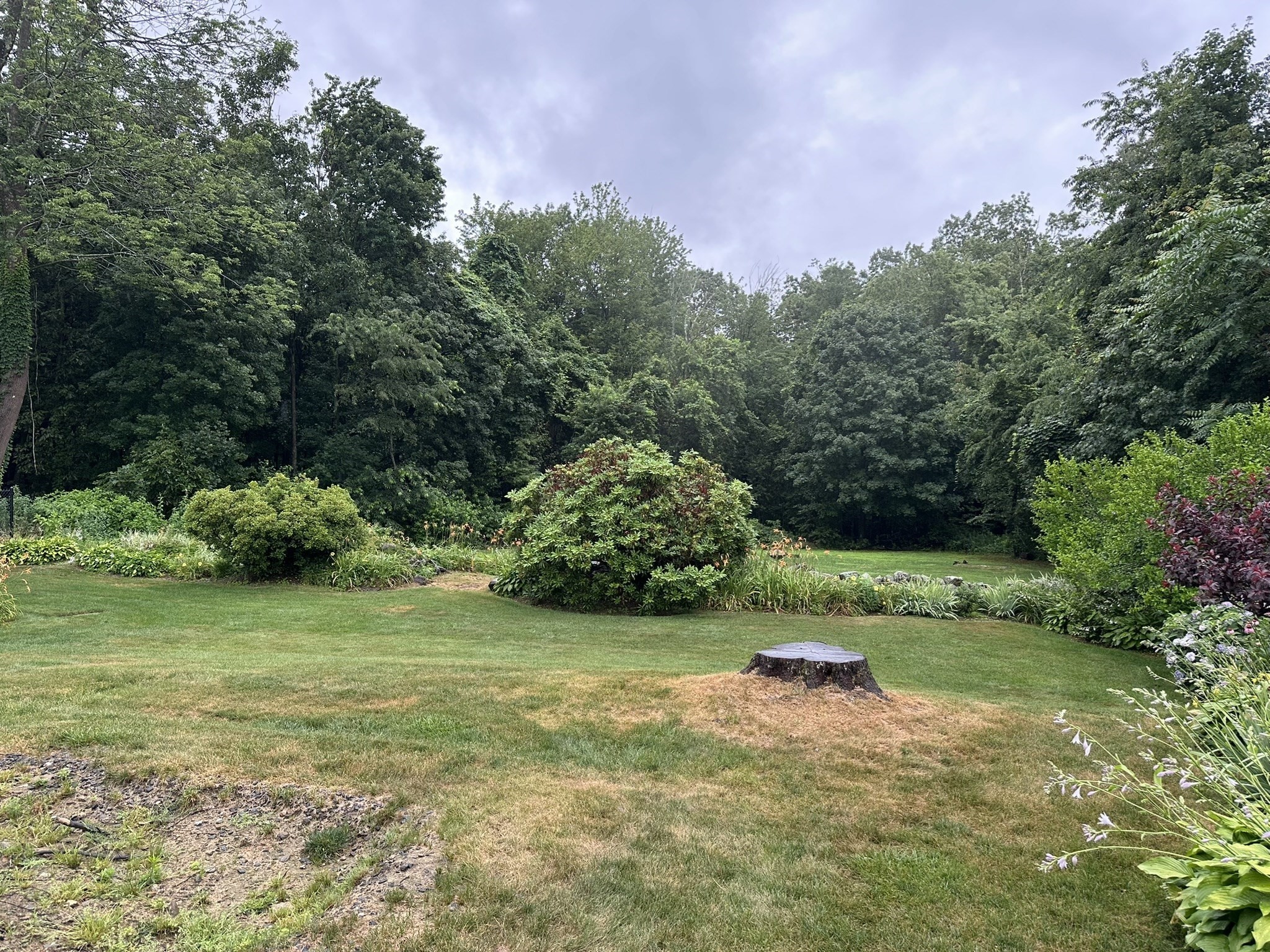 20 Wedgewood Rd, Worcester, MA 01603 - Image 16