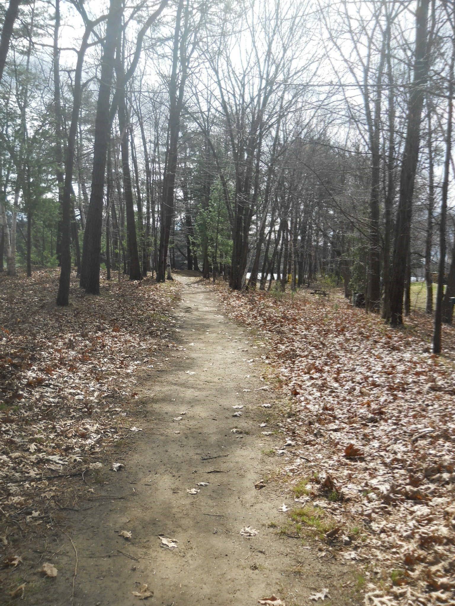 251 Wellman Ave Unit 251, Chelmsford, MA 01863 - Image 41