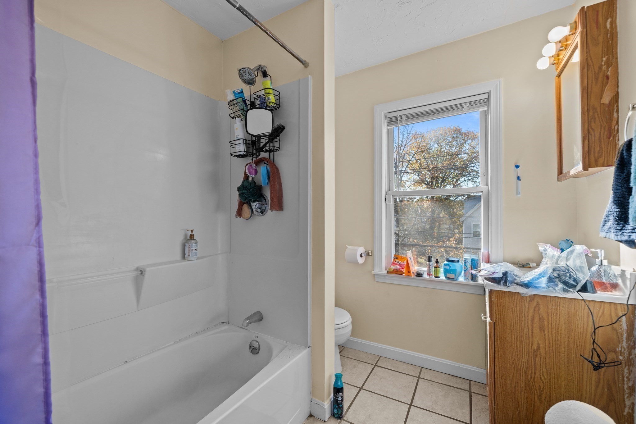 136 Dana Avenue, Hyde Park, Boston, MA 02136 - Image 11