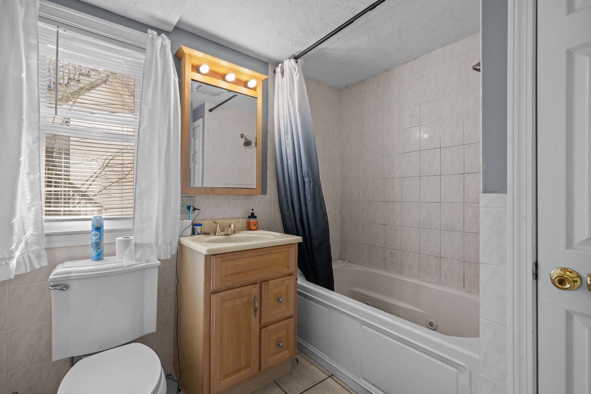 136 Dana Avenue, Hyde Park, Boston, MA 02136 - Image 25