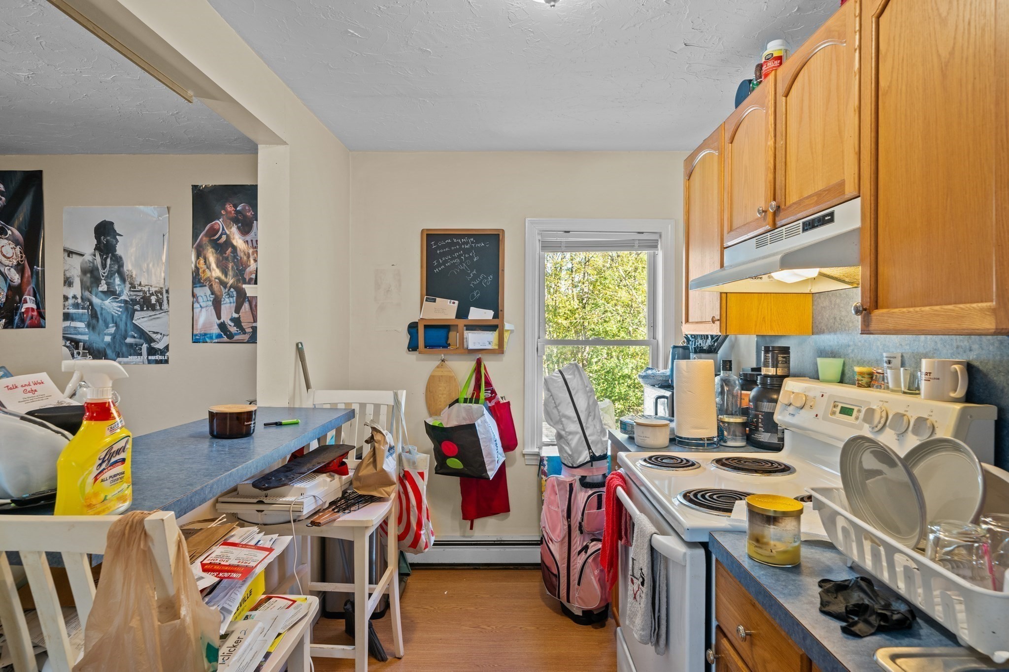 136 Dana Avenue, Hyde Park, Boston, MA 02136 - Image 9