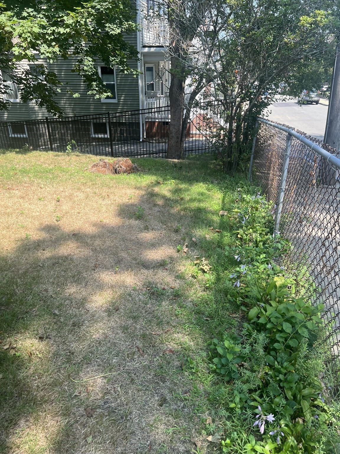 34 Ridlon Rd, Hyde Park, Boston, MA 02136 - Image 8