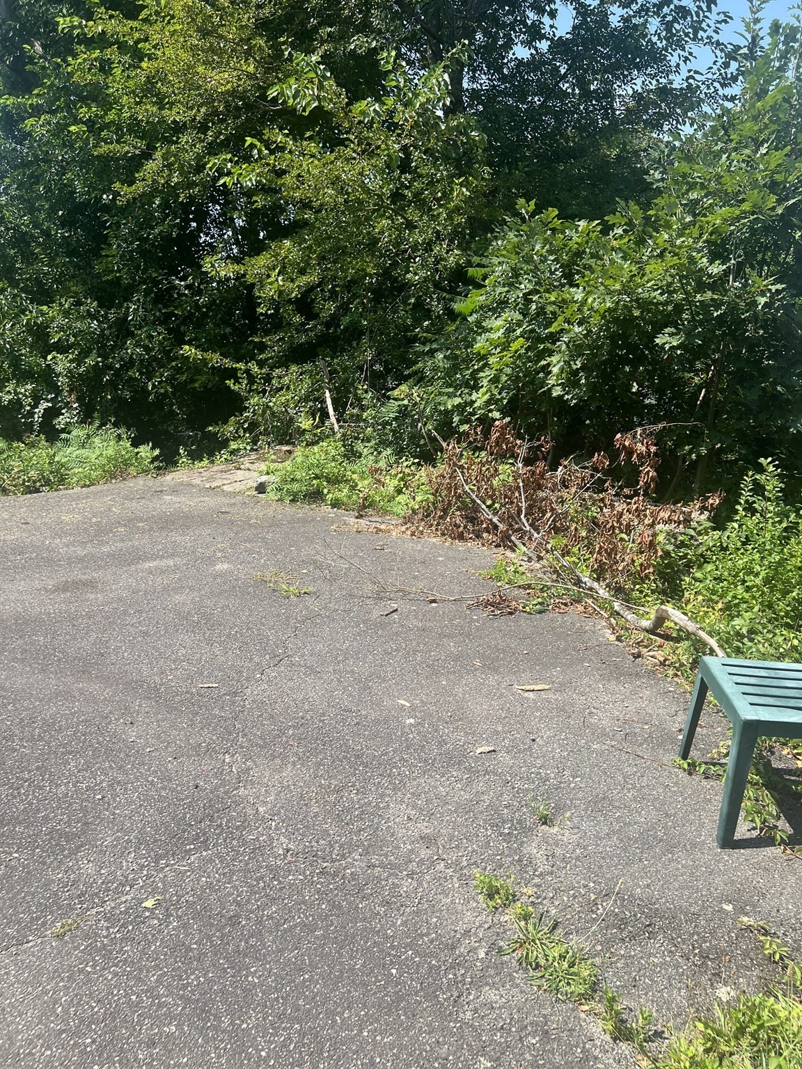 34 Ridlon Rd, Hyde Park, Boston, MA 02136 - Image 9