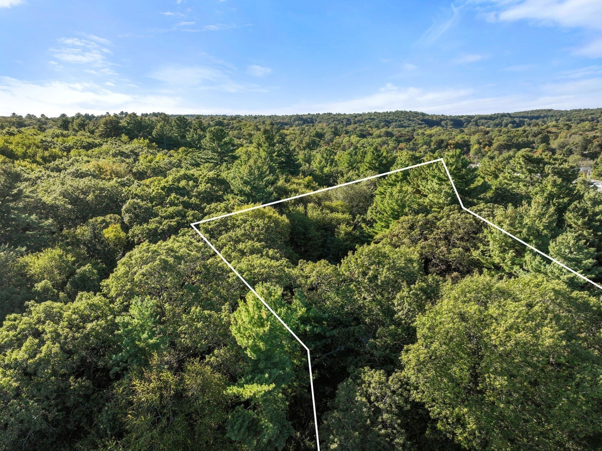 41 Orchard Avenue, Weston, MA 02493 - Image 2