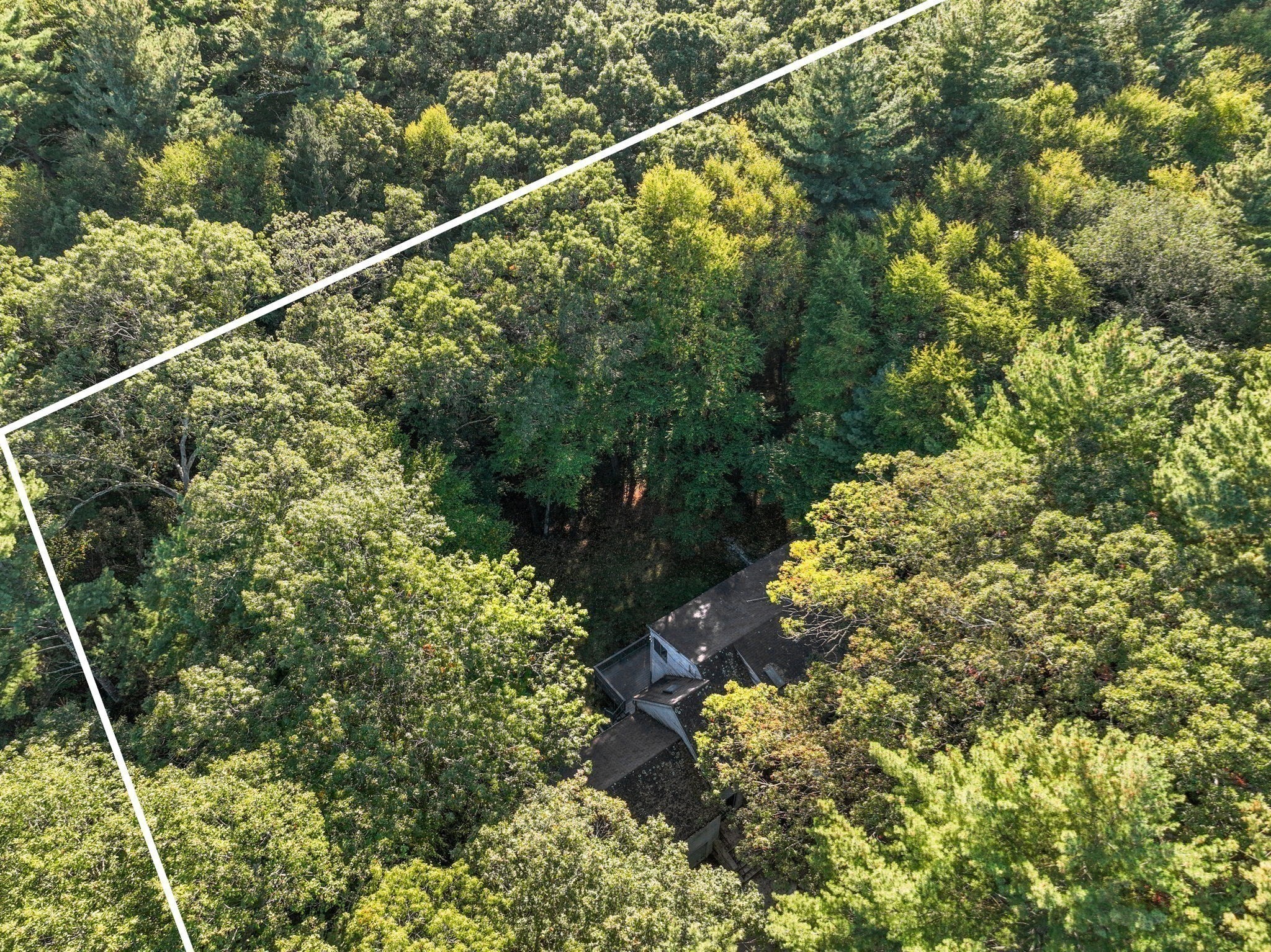 41 Orchard Avenue, Weston, MA 02493 - Image 3