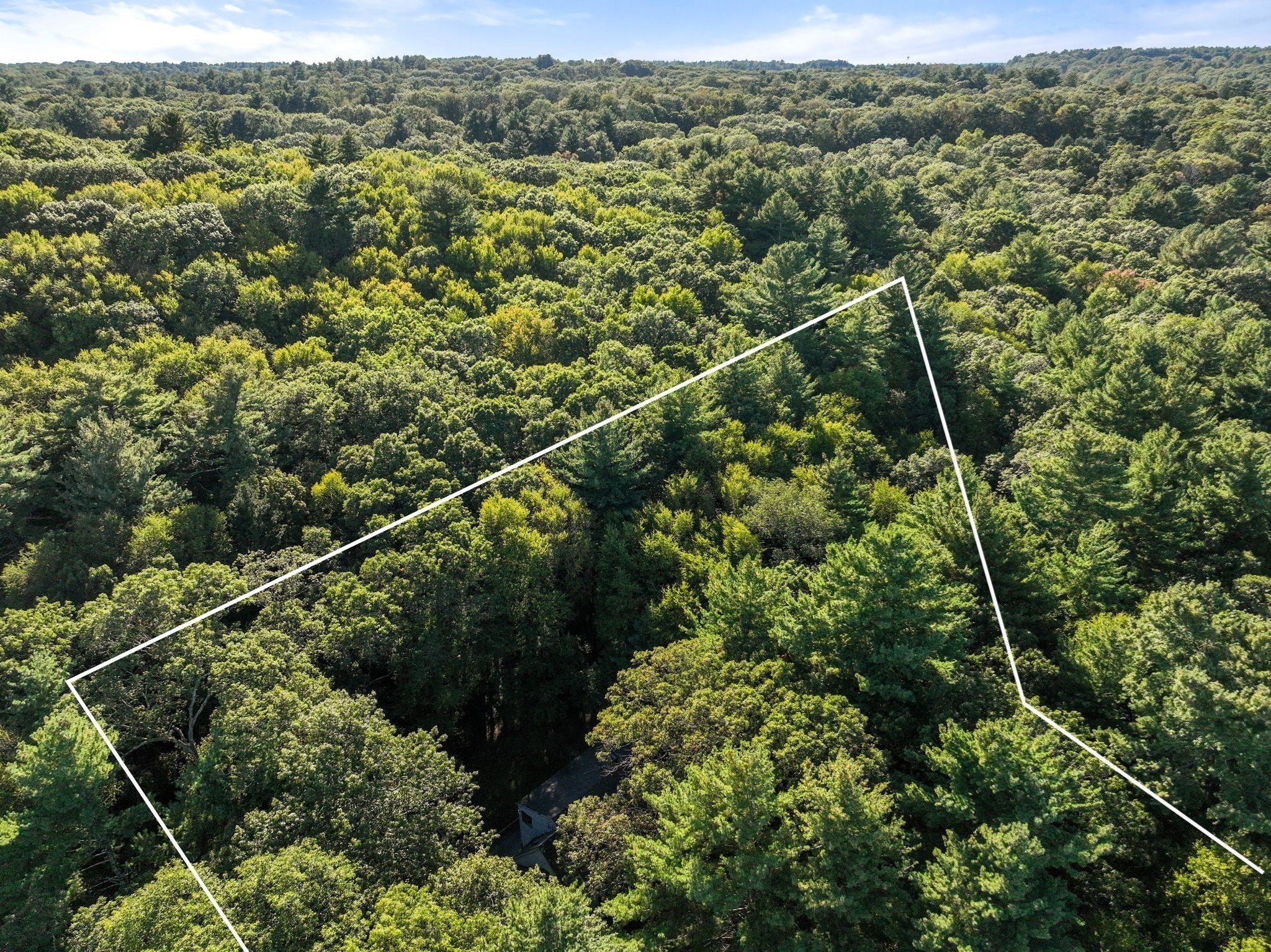 41 Orchard Avenue, Weston, MA 02493 - Image 4