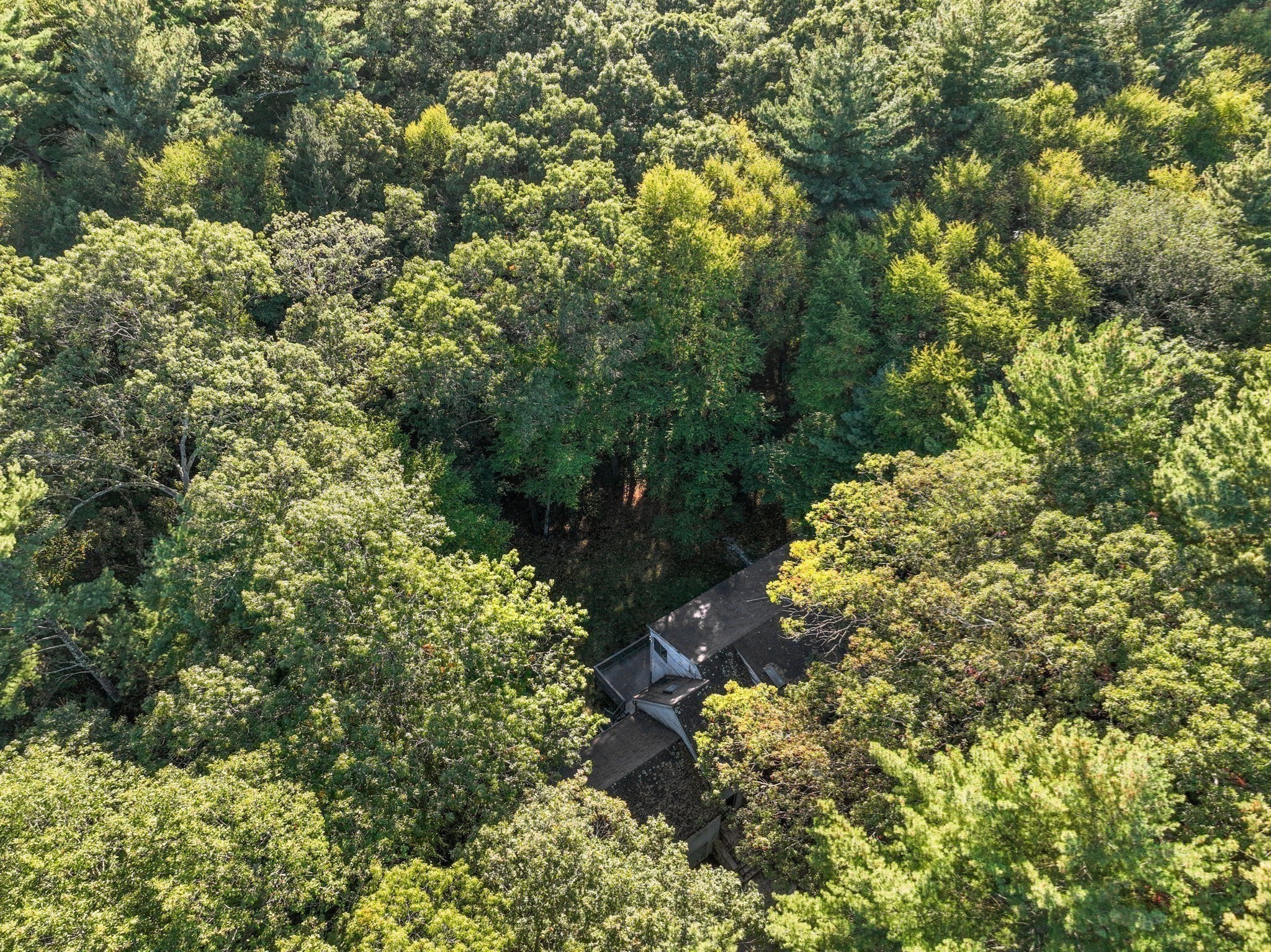 41 Orchard Avenue, Weston, MA 02493 - Image 5