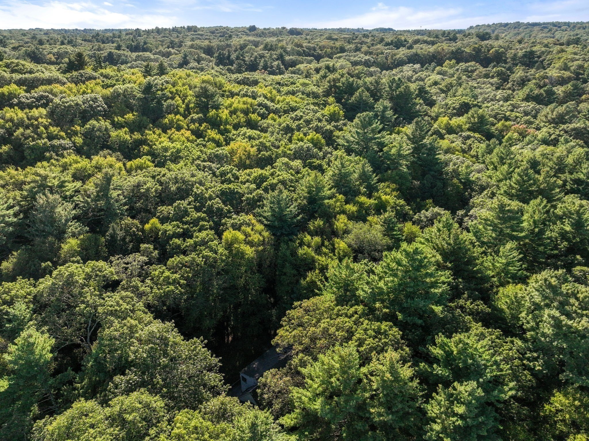 41 Orchard Avenue, Weston, MA 02493 - Image 6