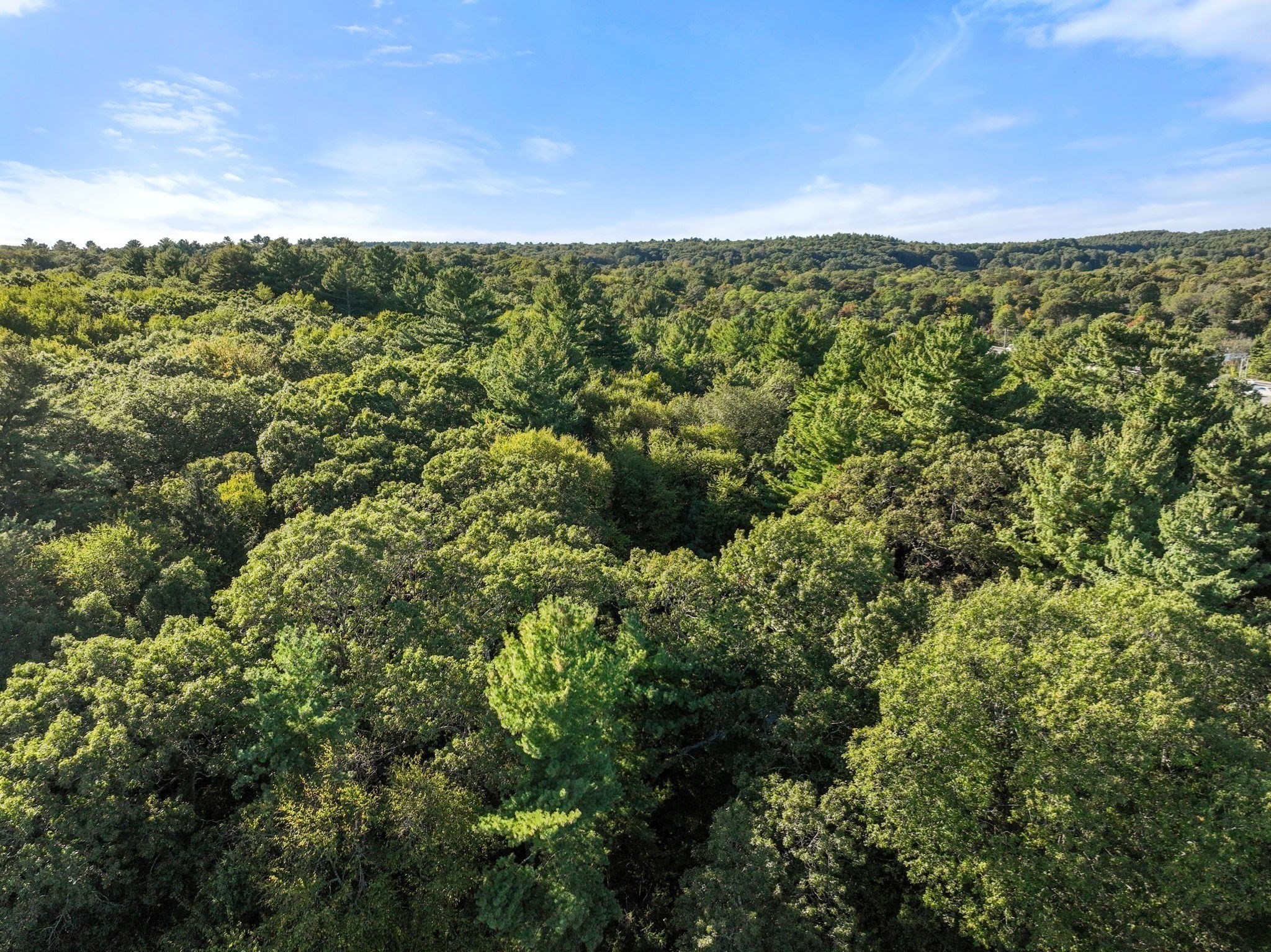 41 Orchard Avenue, Weston, MA 02493 - Image 7