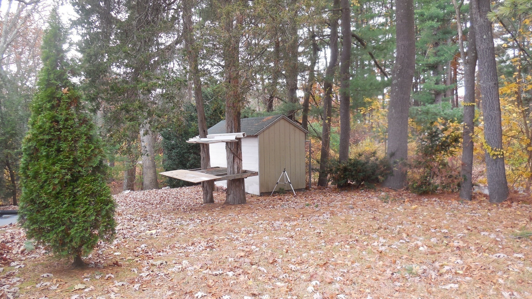 118 Woodside Ter, Westfield, MA 01085 - Image 4