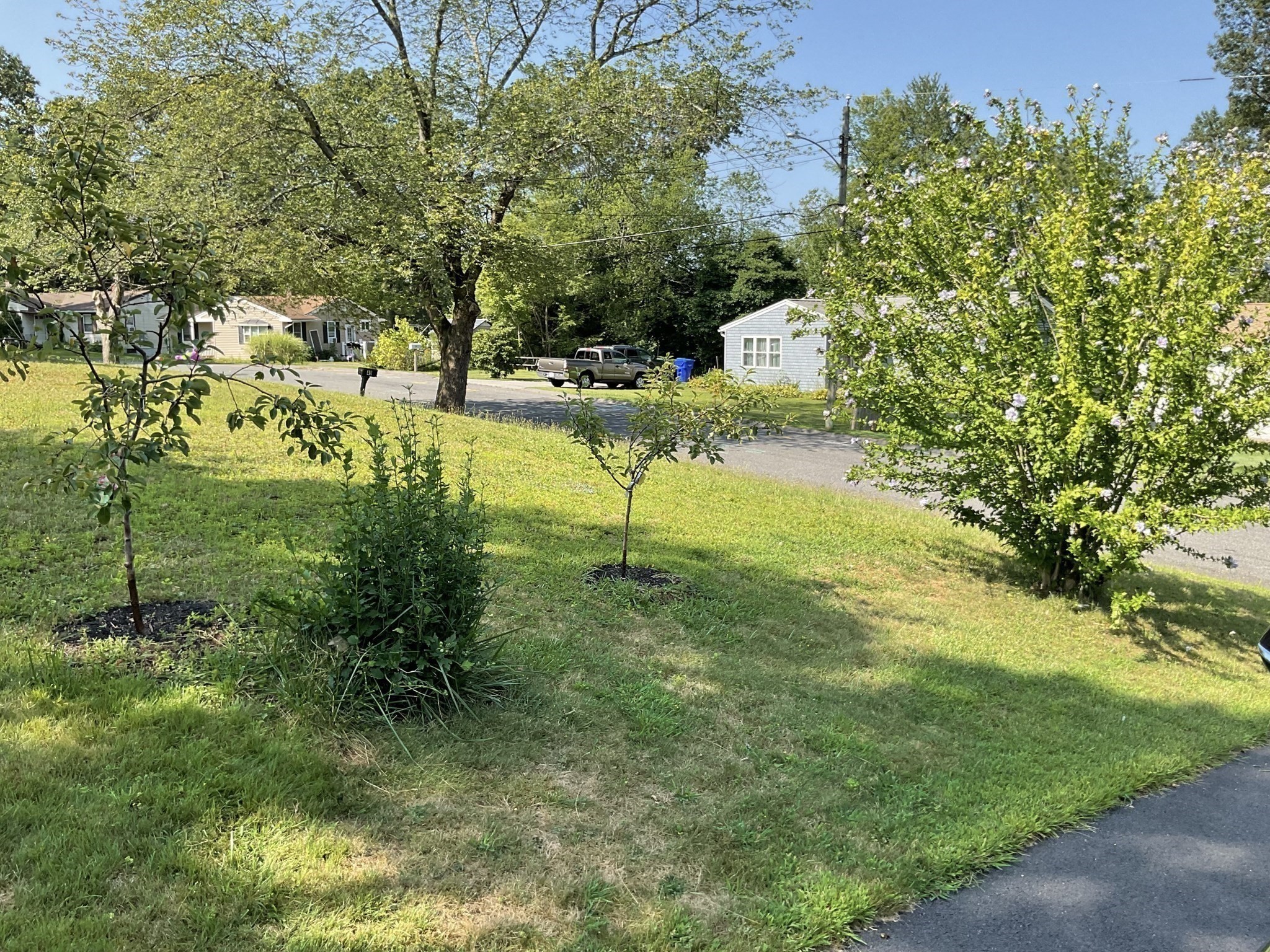 41 Hillside Drive, Springfield, MA 01118 - Image 24