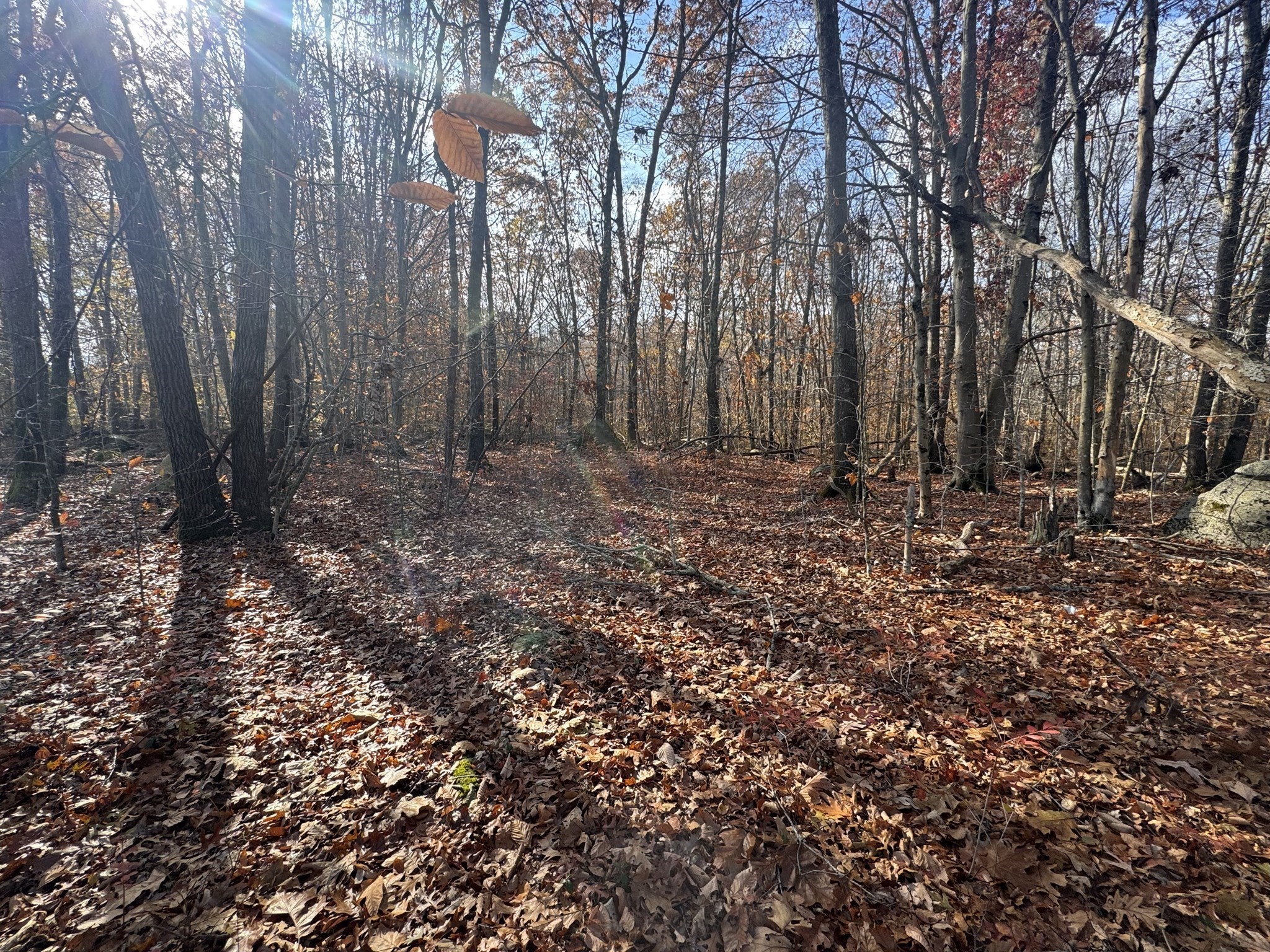 0 Tickle Rd, Westport, MA 02790 - Image 2