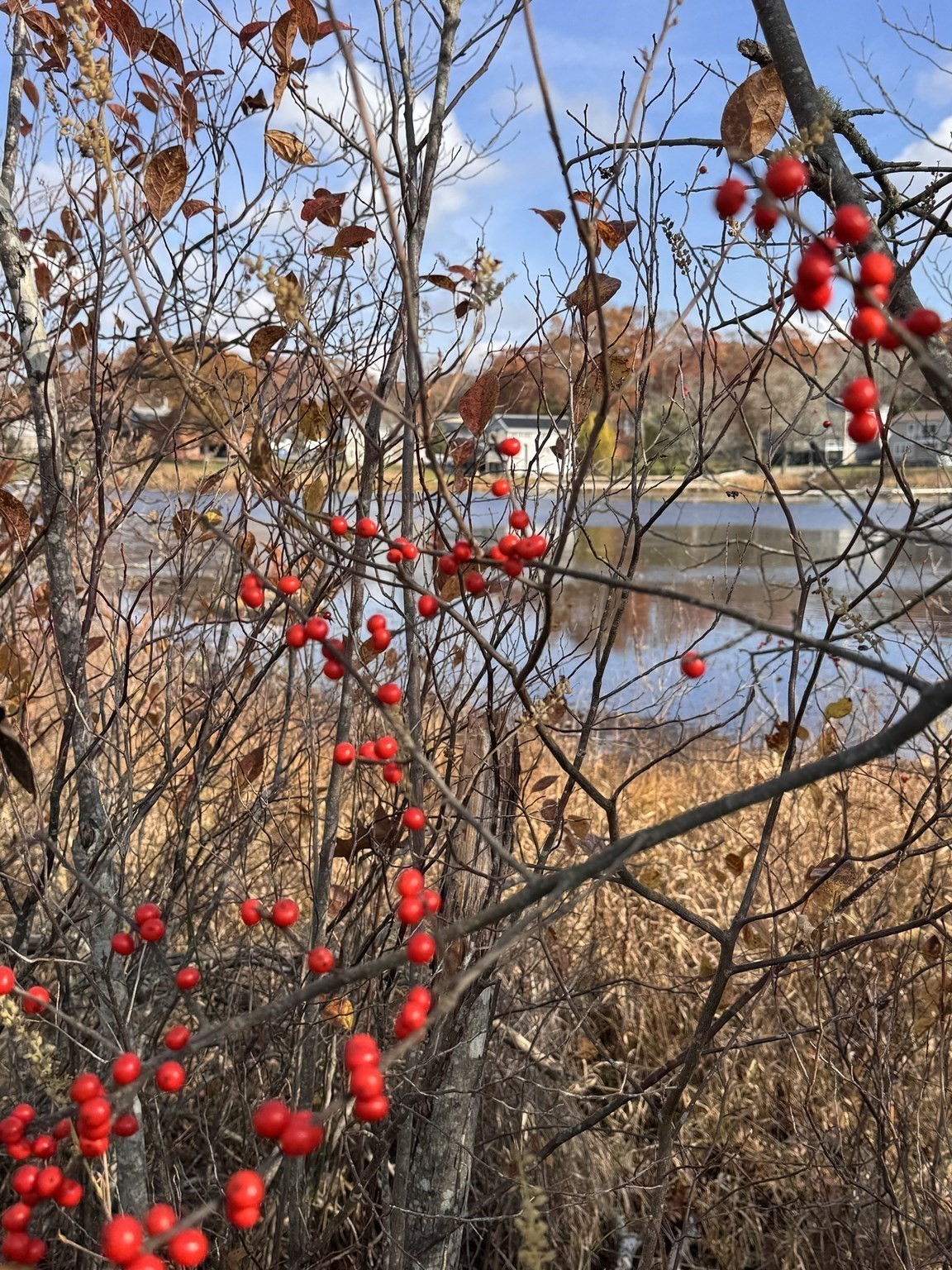 0 Tickle Rd, Westport, MA 02790 - Image 12