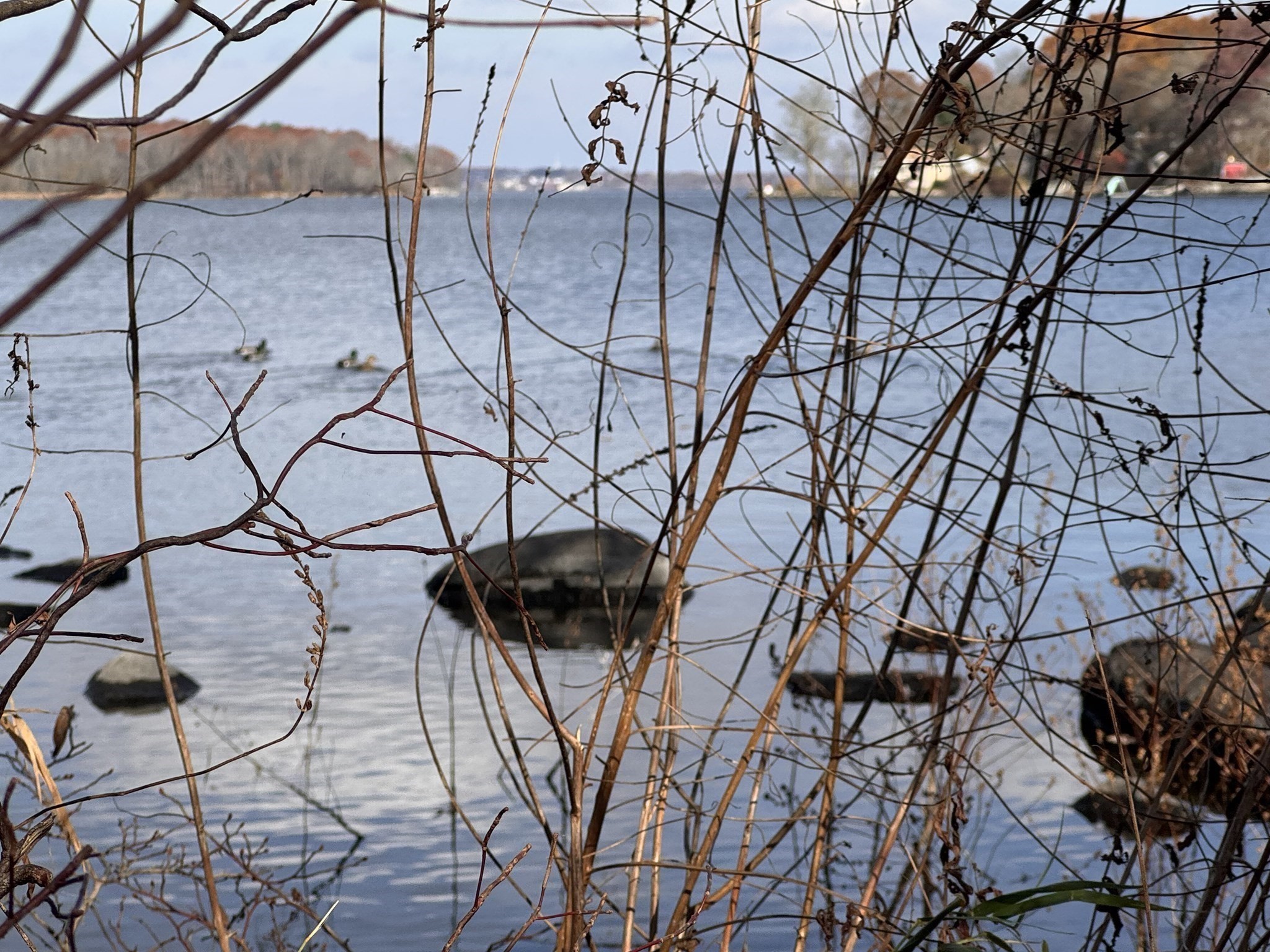 0 Tickle Rd, Westport, MA 02790 - Image 13