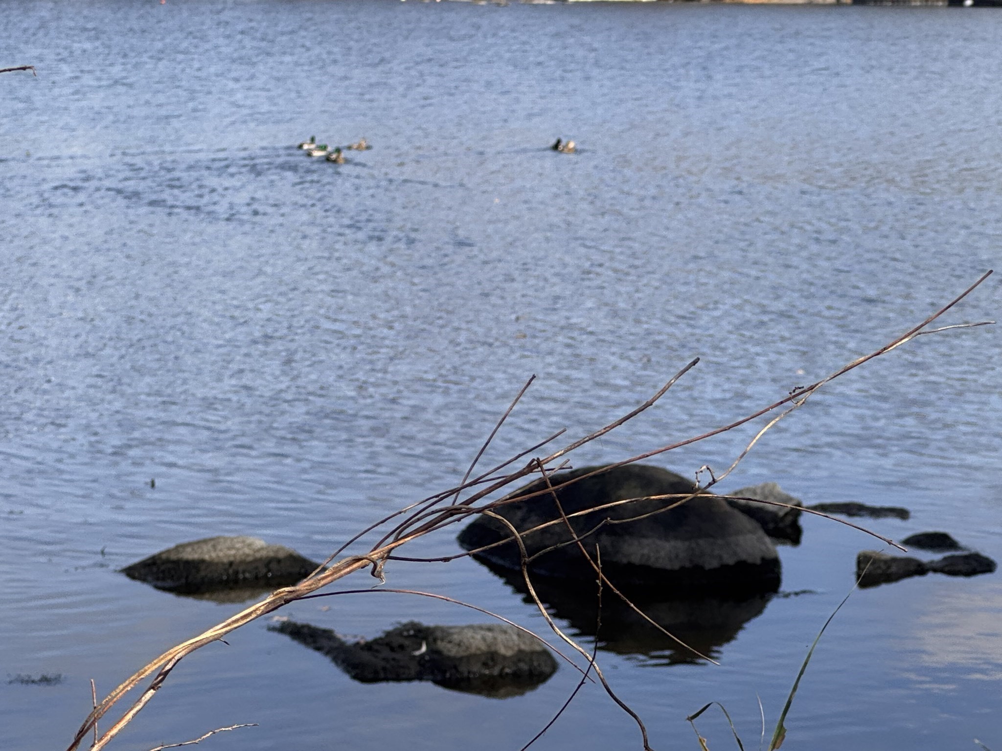 0 Tickle Rd, Westport, MA 02790 - Image 14