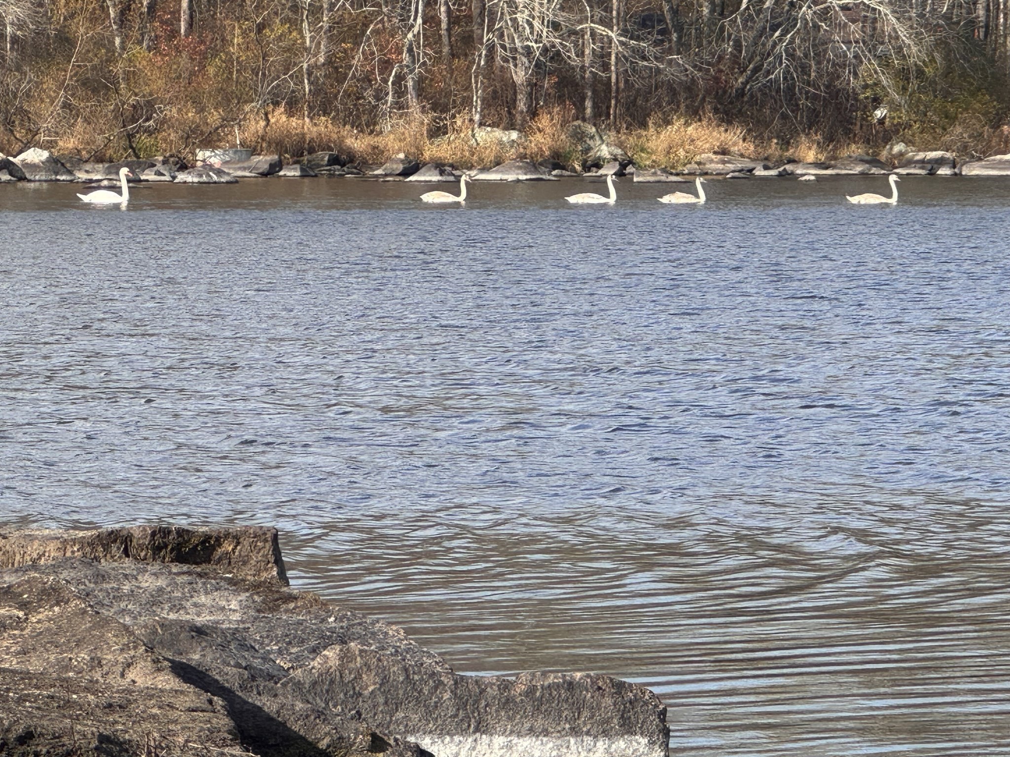 0 Tickle Rd, Westport, MA 02790 - Image 15