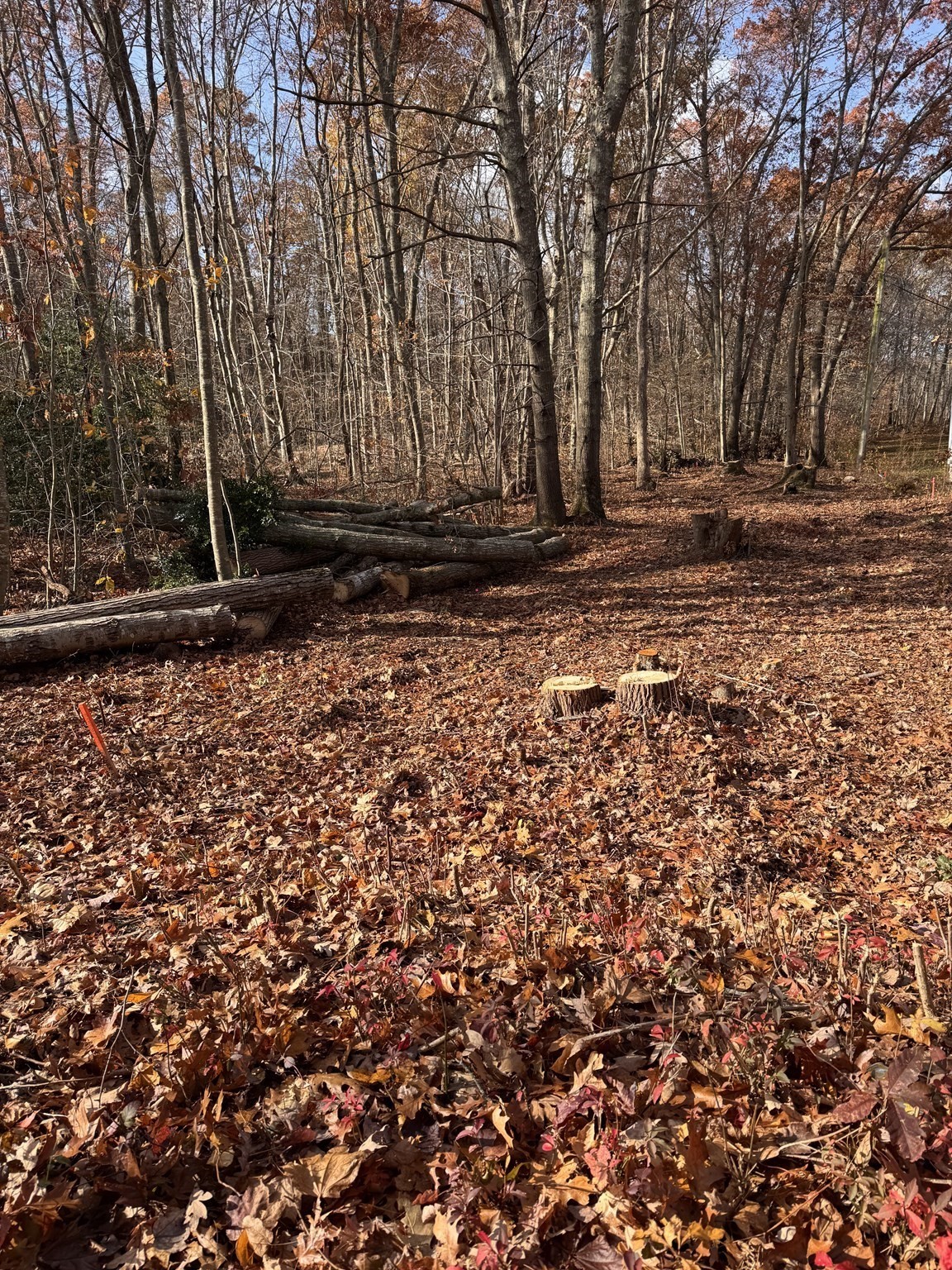 0 Tickle Rd, Westport, MA 02790 - Image 3