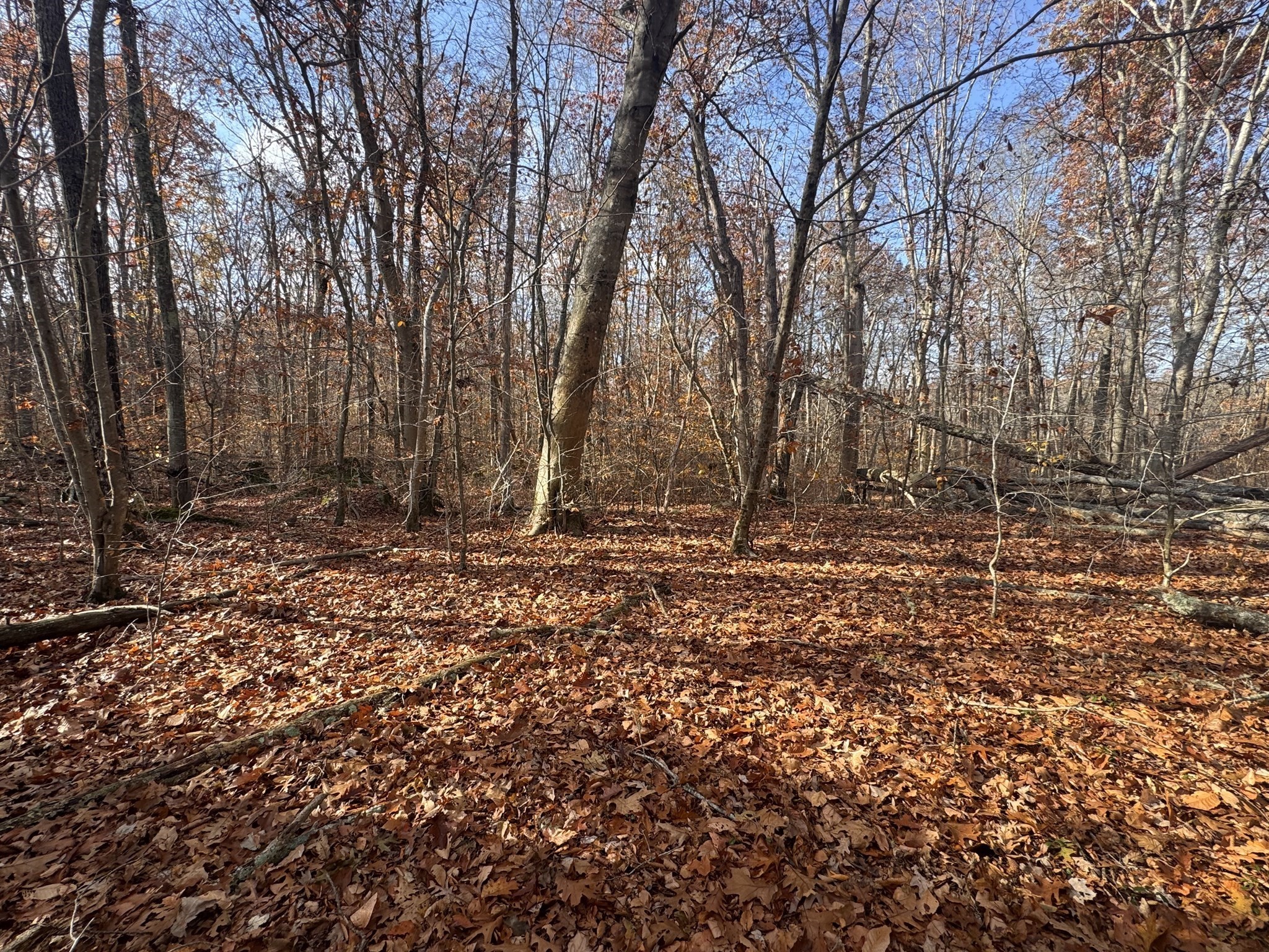 0 Tickle Rd, Westport, MA 02790 - Image 4