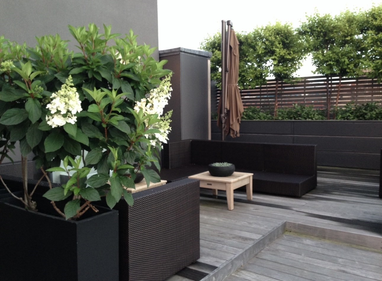 27 Wareham St Unit PH6, South End, Boston, MA 02118 - Image 39