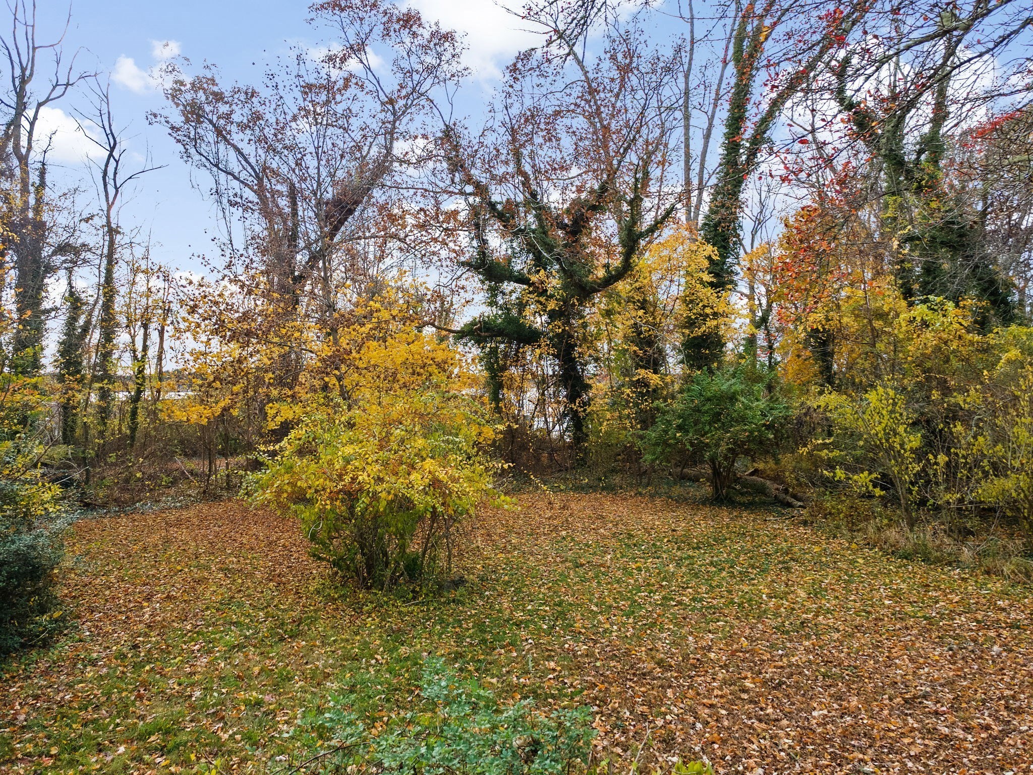 269 Middleboro Road, Freetown, MA 02717 - Image 3