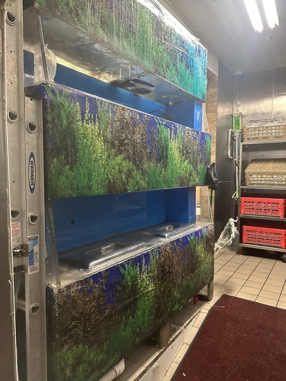 1280 Beacon Street, Brookline, MA 02446 - Image 24