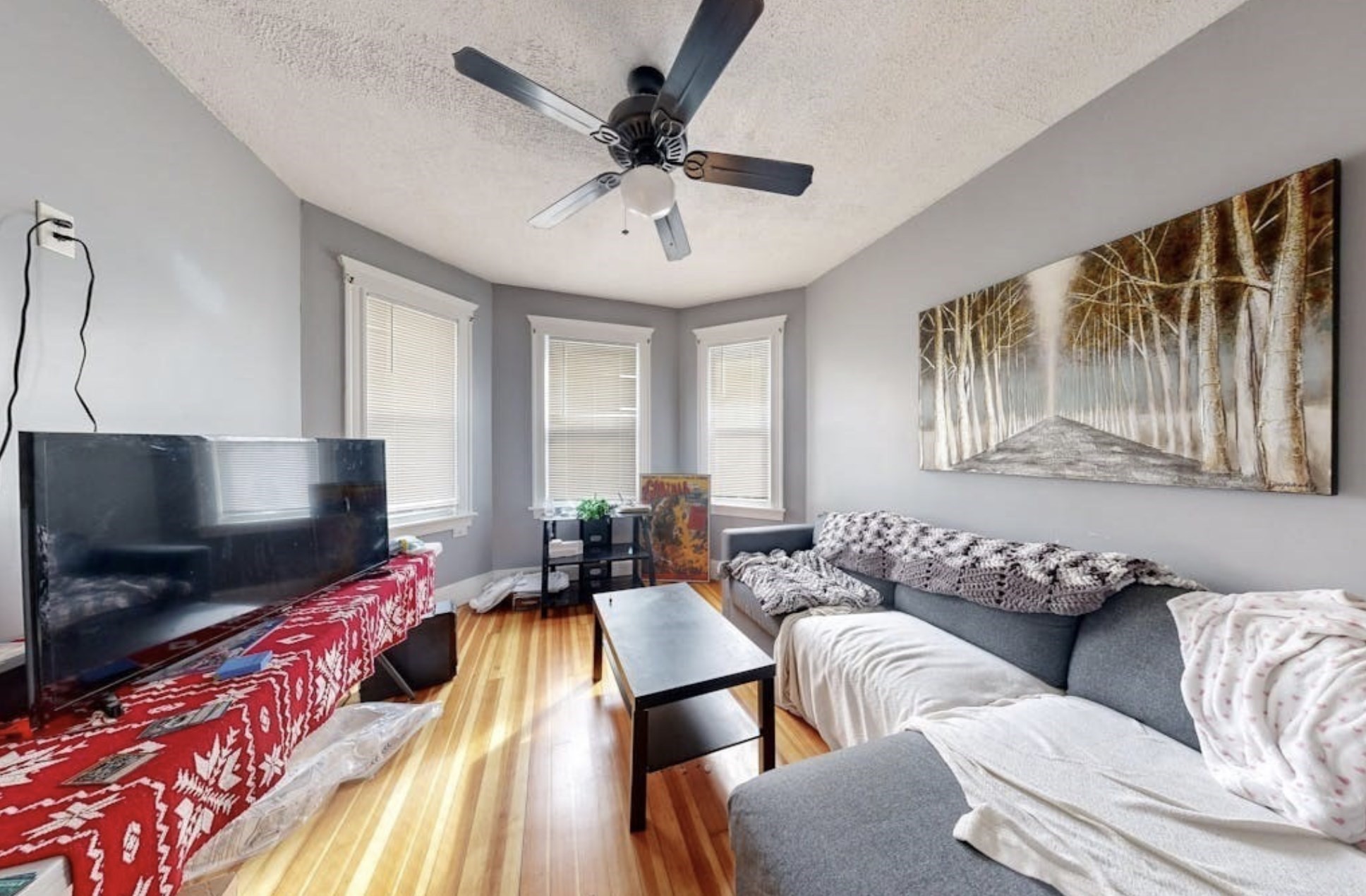 84 Bailey St, Dorchester, Boston, MA 02124 - Image 2