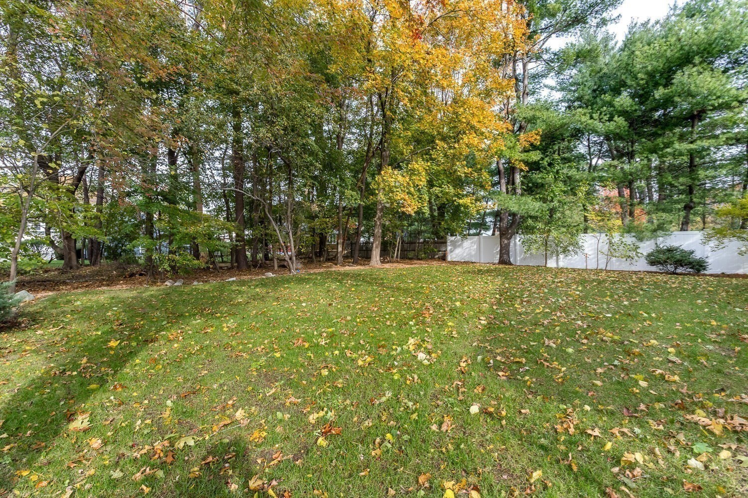 62 Evelyn Road, Needham, MA 02494 - Image 34