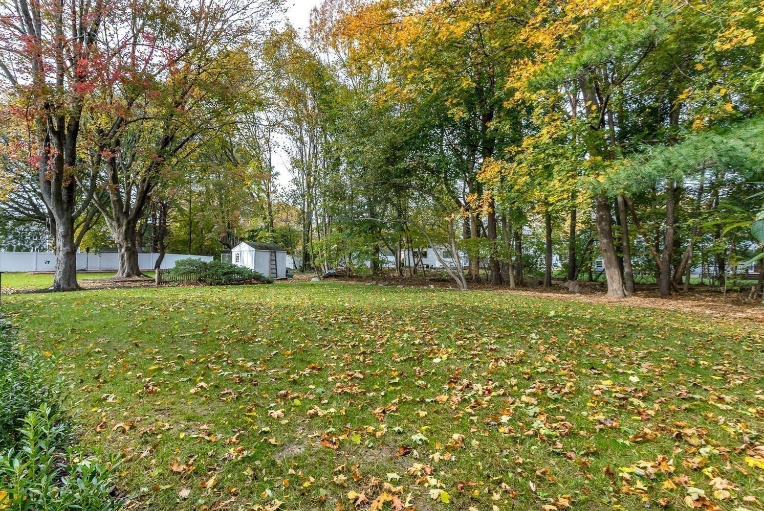 62 Evelyn Road, Needham, MA 02494 - Image 35