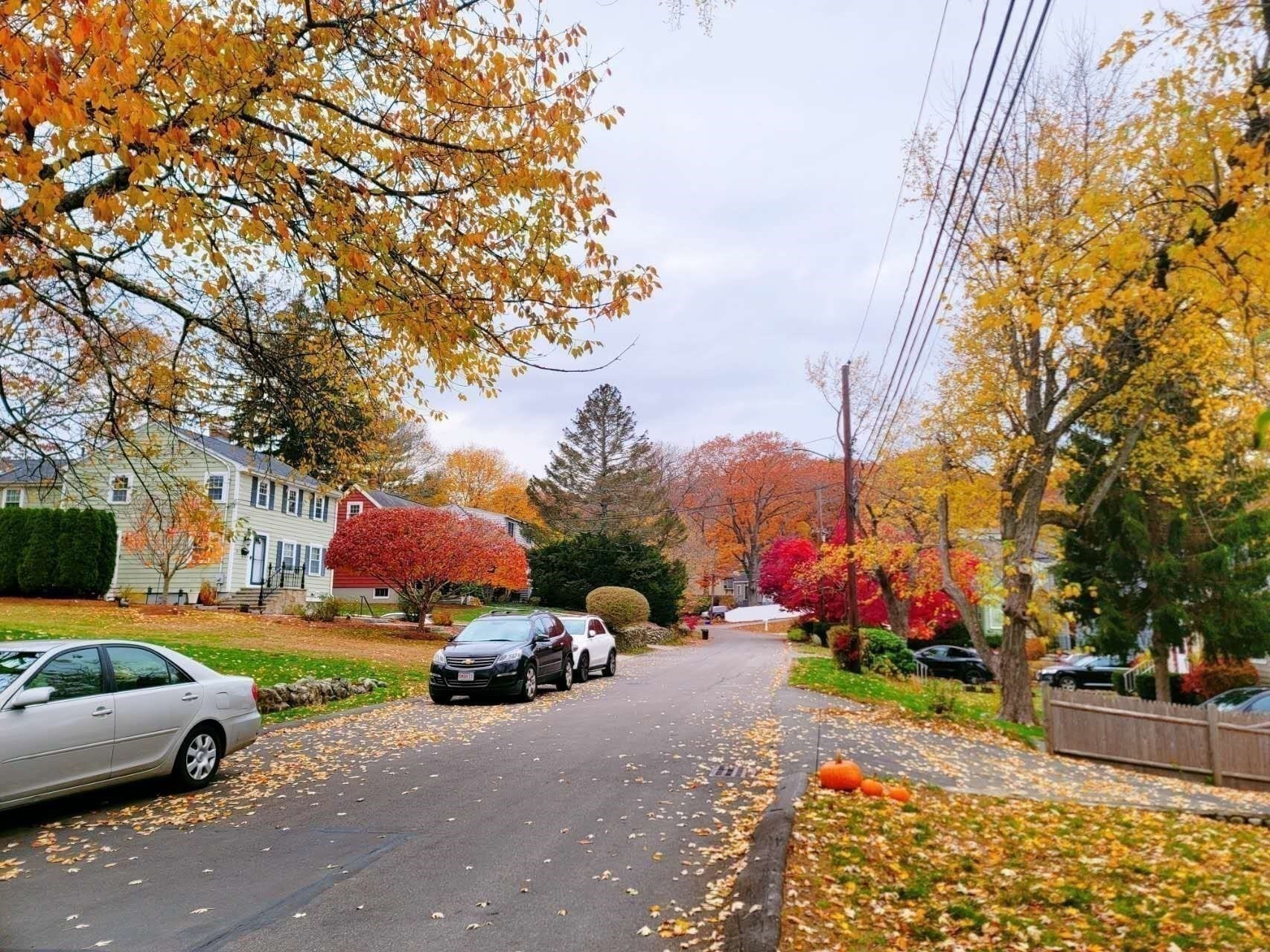 24 Grapevine Avenue, Lexington, MA 02421 - Image 3