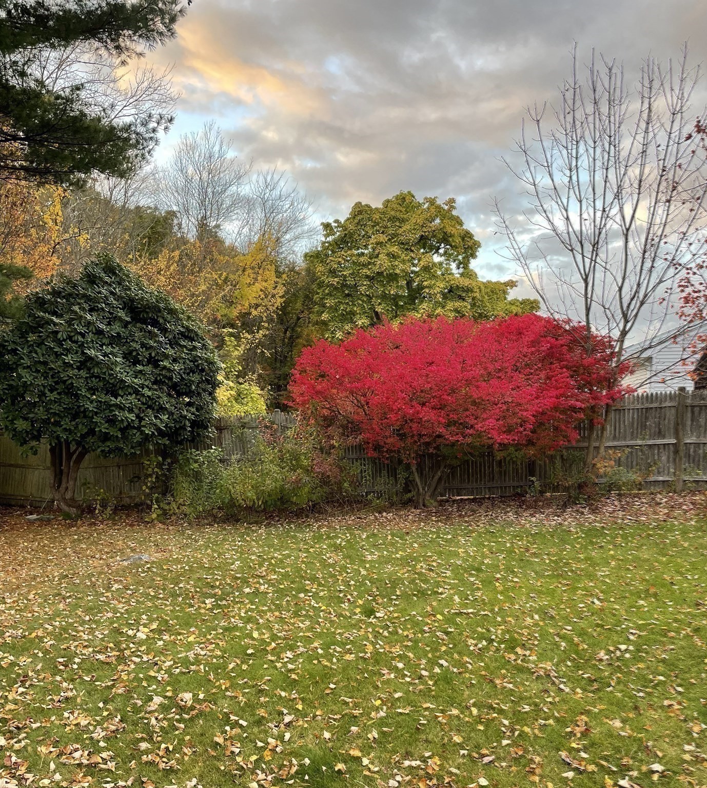 24 Perley Ave, Peabody, MA 01960 - Image 33