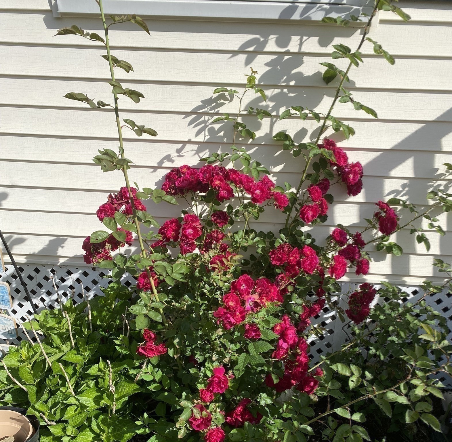 24 Perley Ave, Peabody, MA 01960 - Image 34