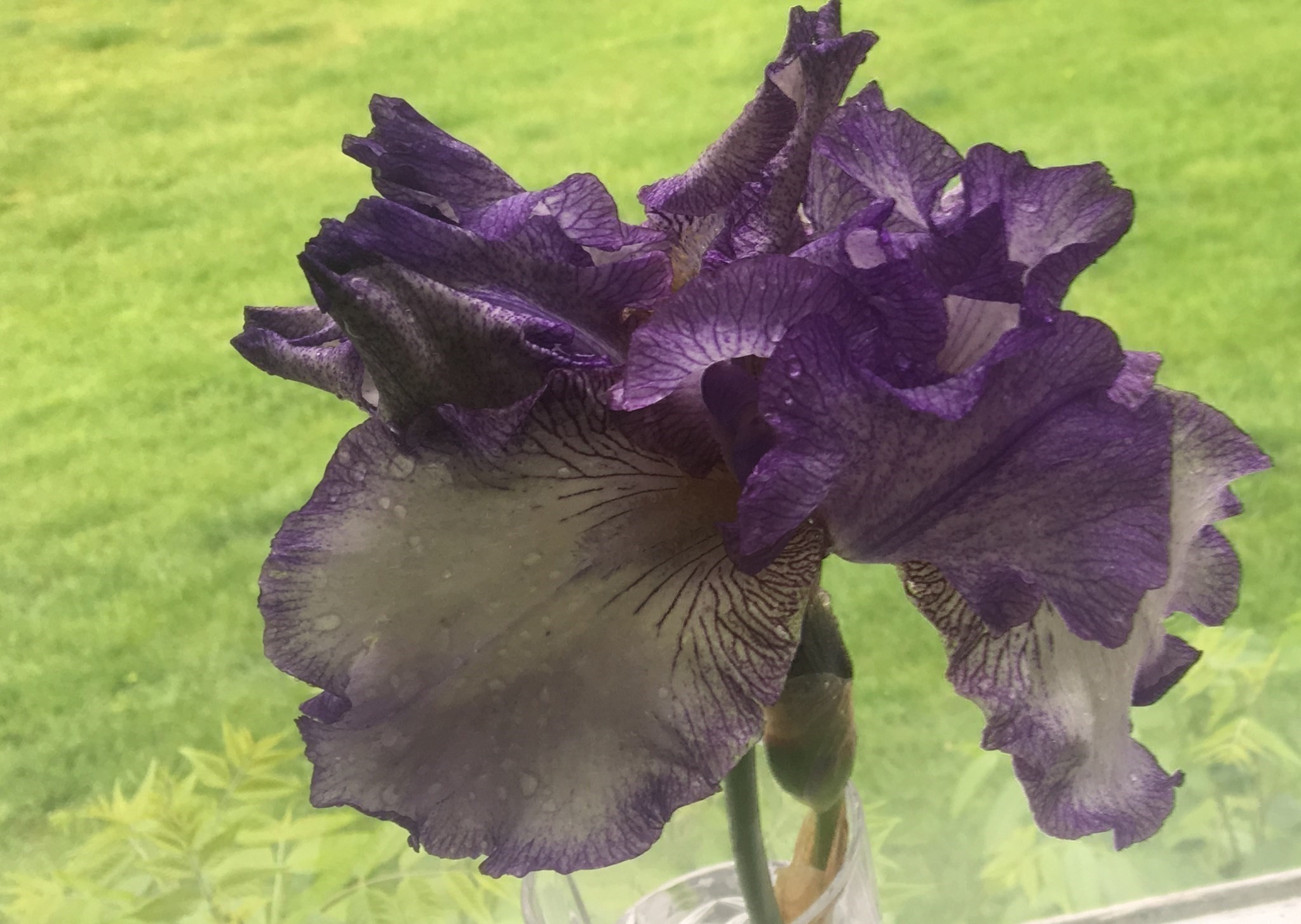 24 Perley Ave, Peabody, MA 01960 - Image 35