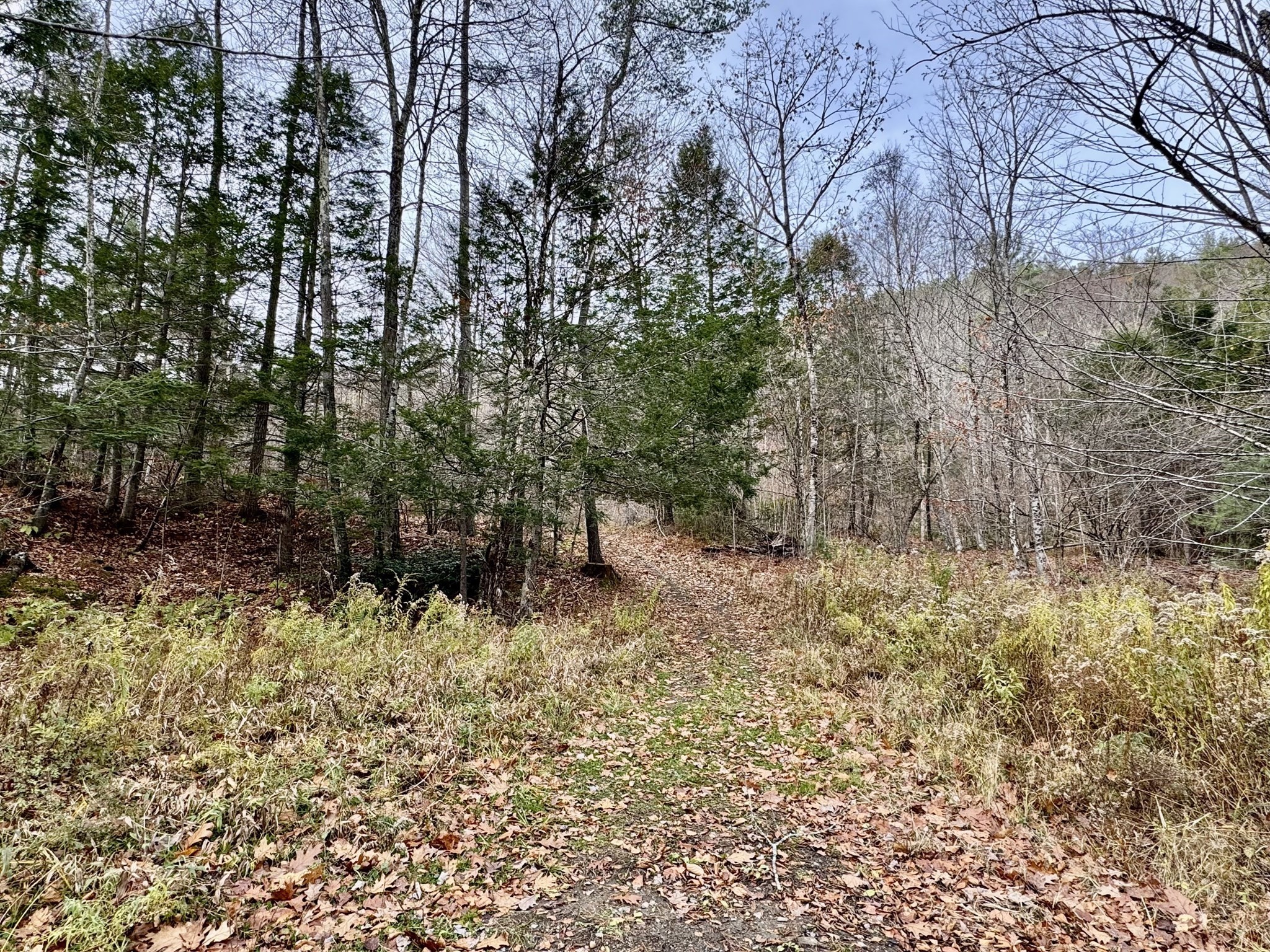 0 West Oxbow Road, Charlemont, MA 01339 - Image 2