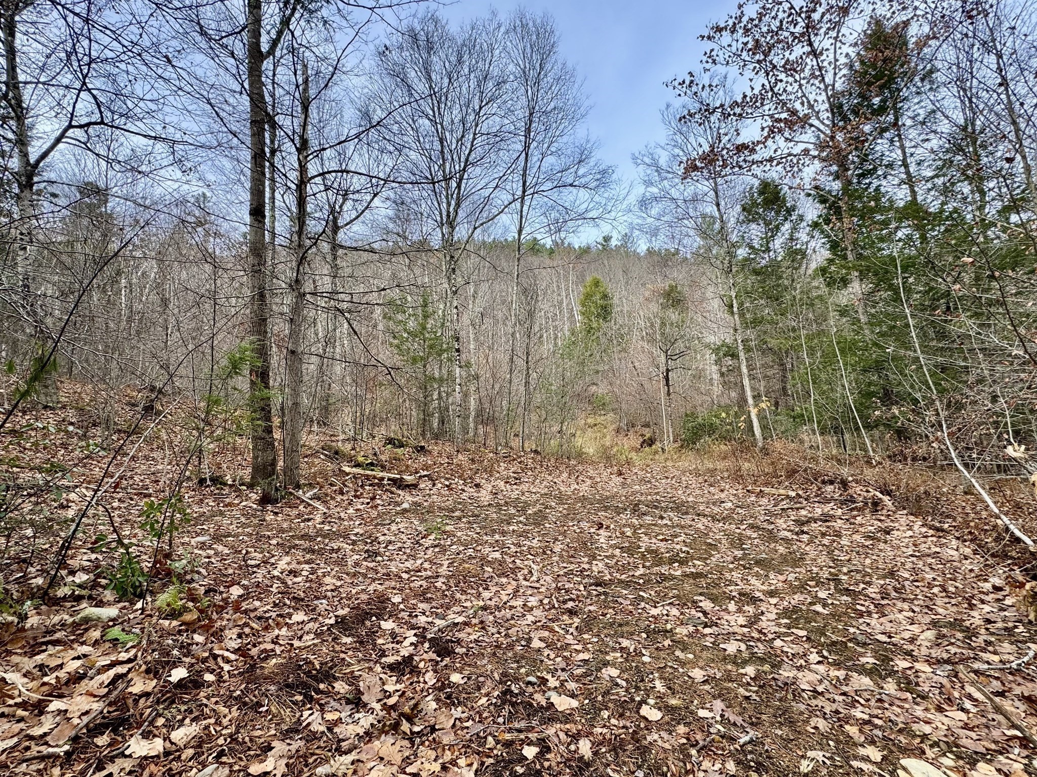 0 West Oxbow Road, Charlemont, MA 01339 - Image 3