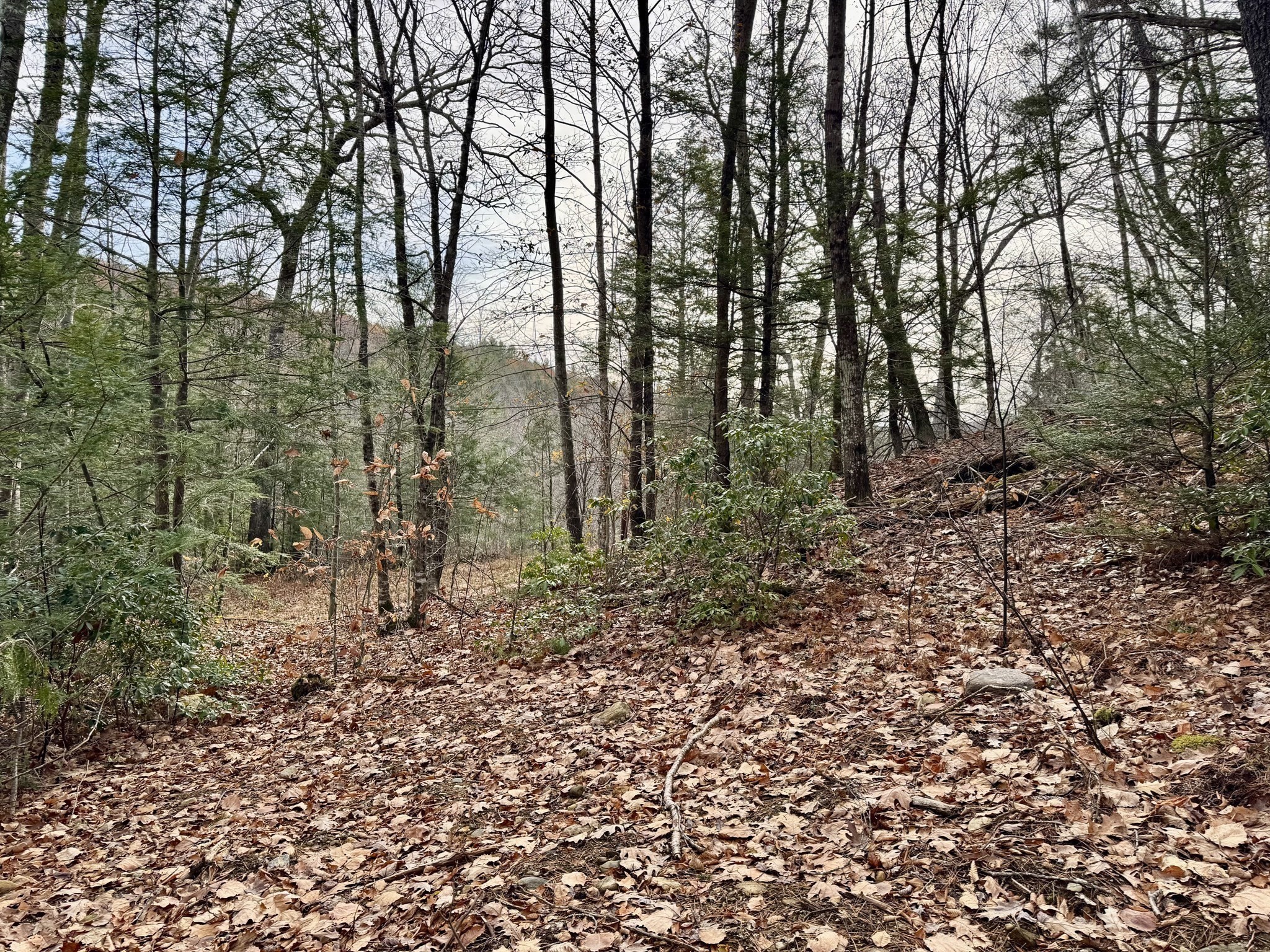 0 West Oxbow Road, Charlemont, MA 01339 - Image 4