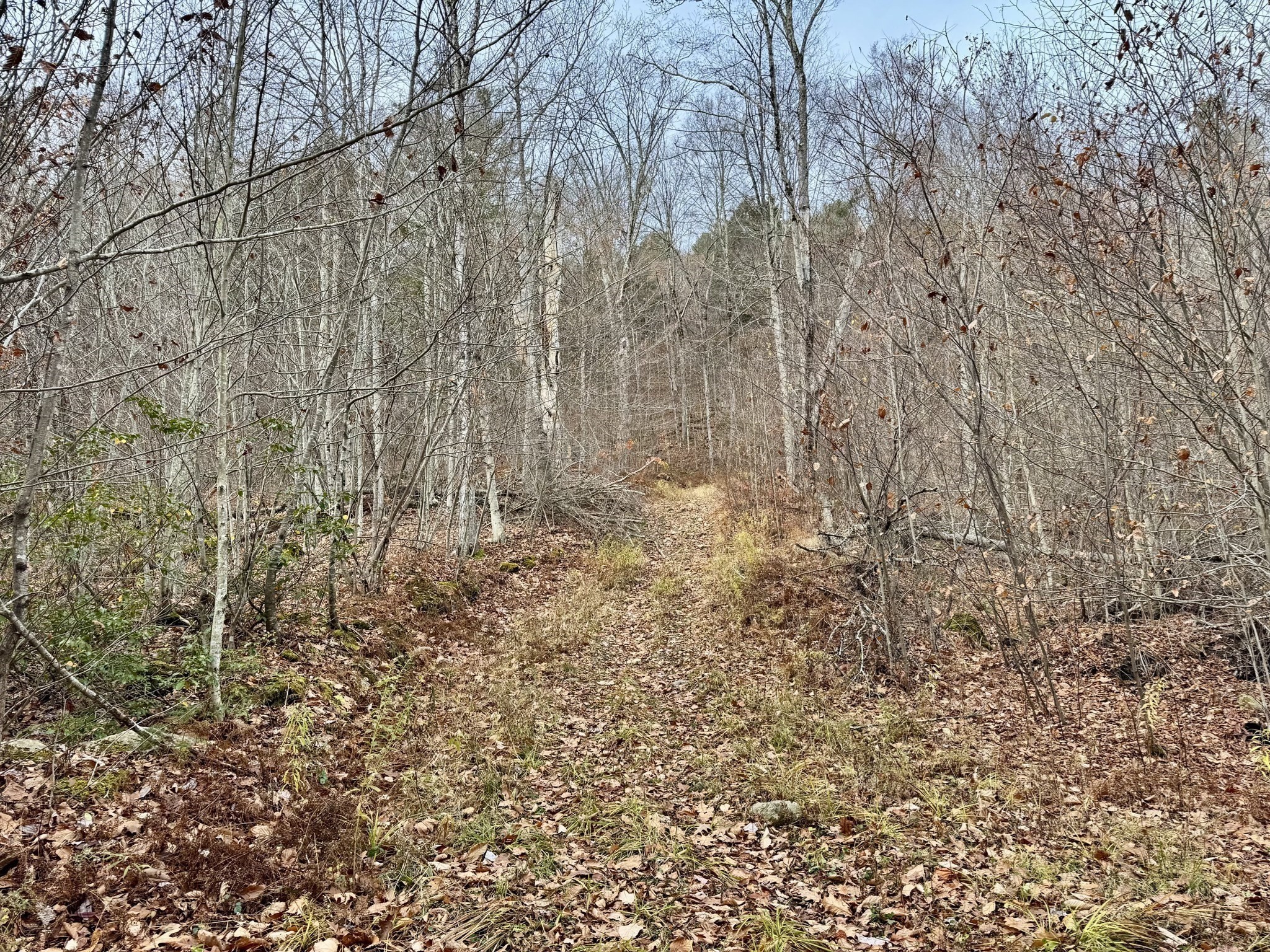 0 West Oxbow Road, Charlemont, MA 01339 - Image 7