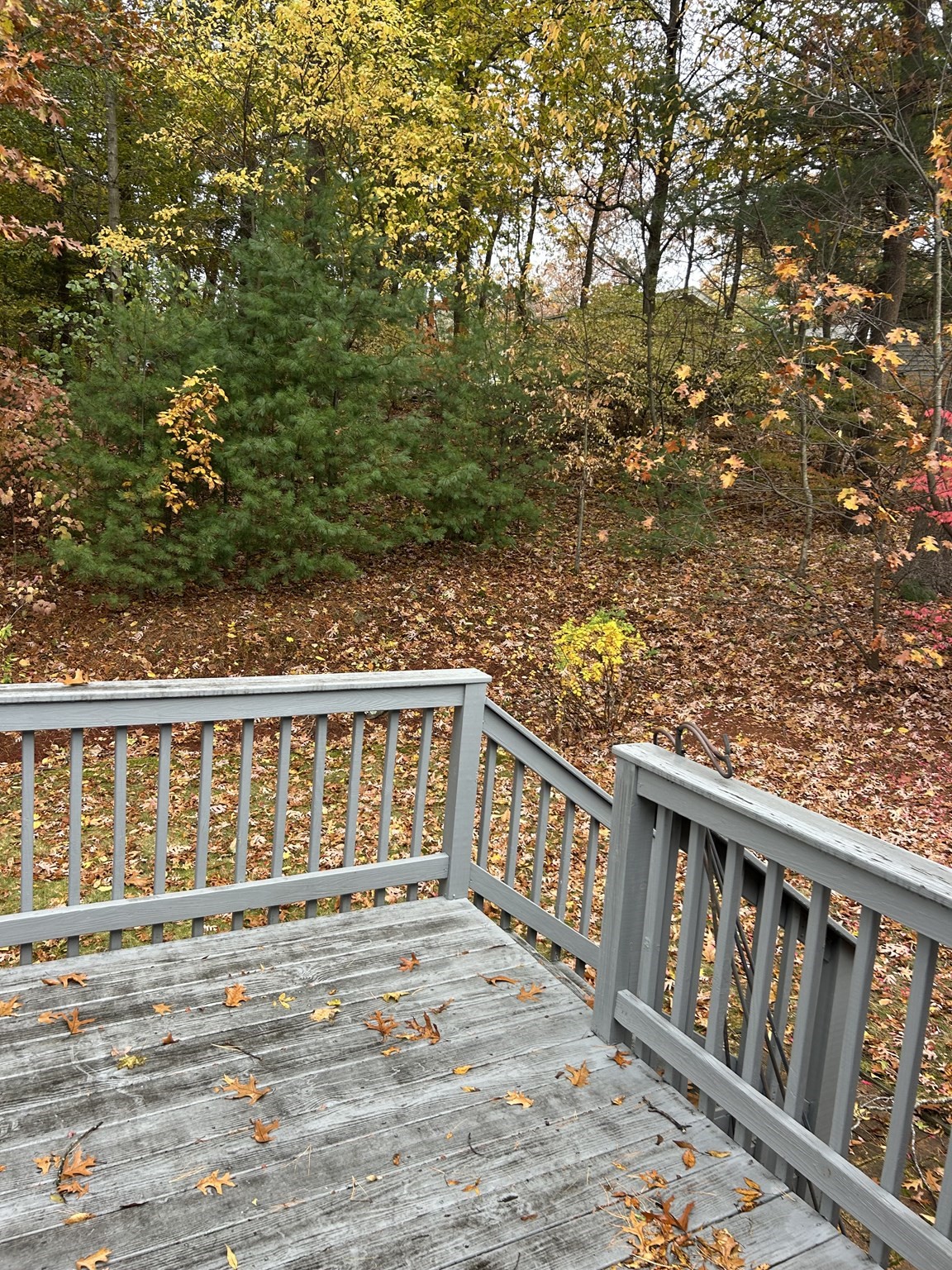 21 Athens Dr, Saugus, MA 01906 - Image 4